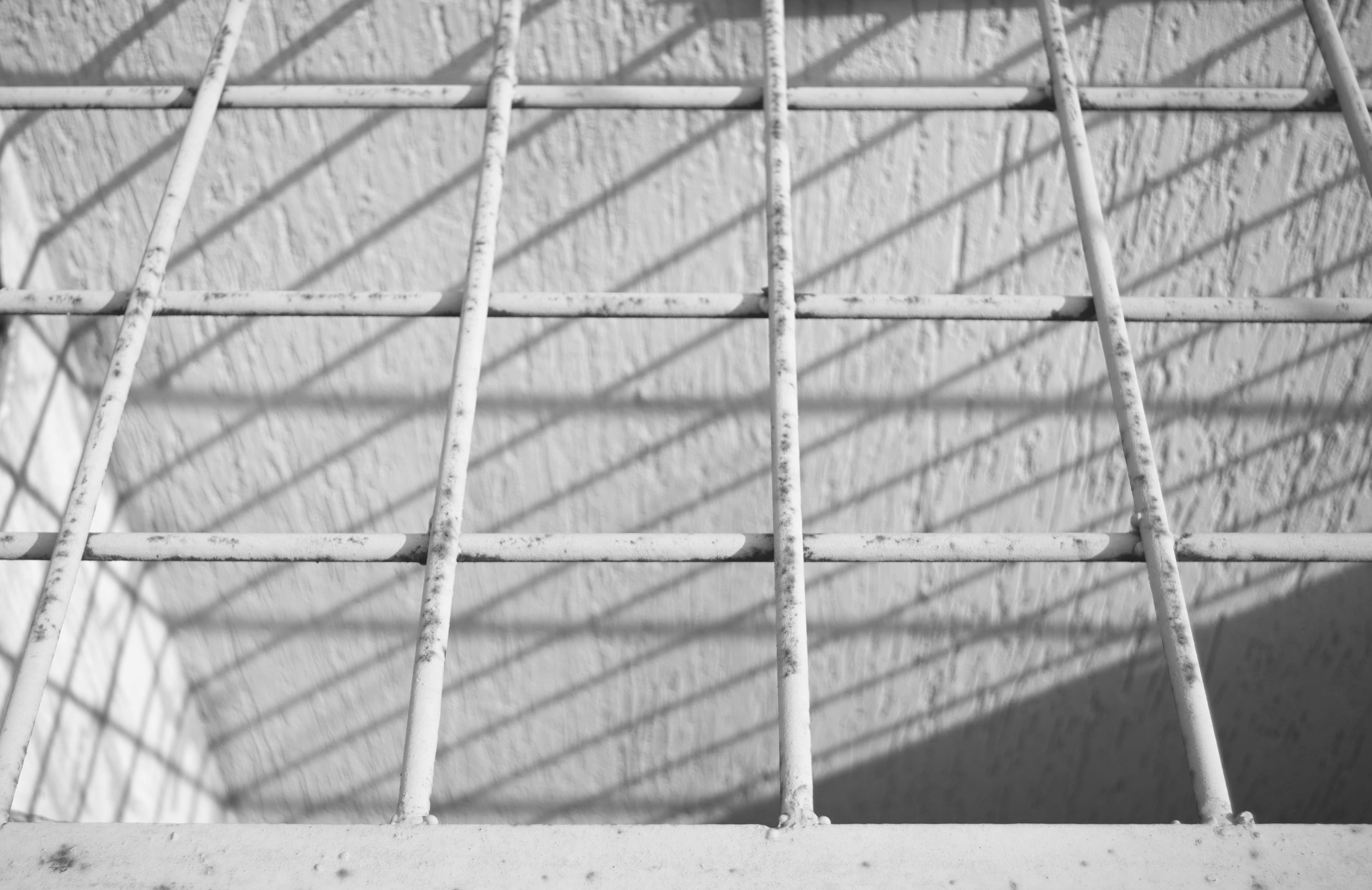 kyiv, clothing, lion, day, backgrounds, wall, security, monochrome grid outdoors, andalusian horse, brick, horse, construction site, prison, architecture, HD Wallpaper