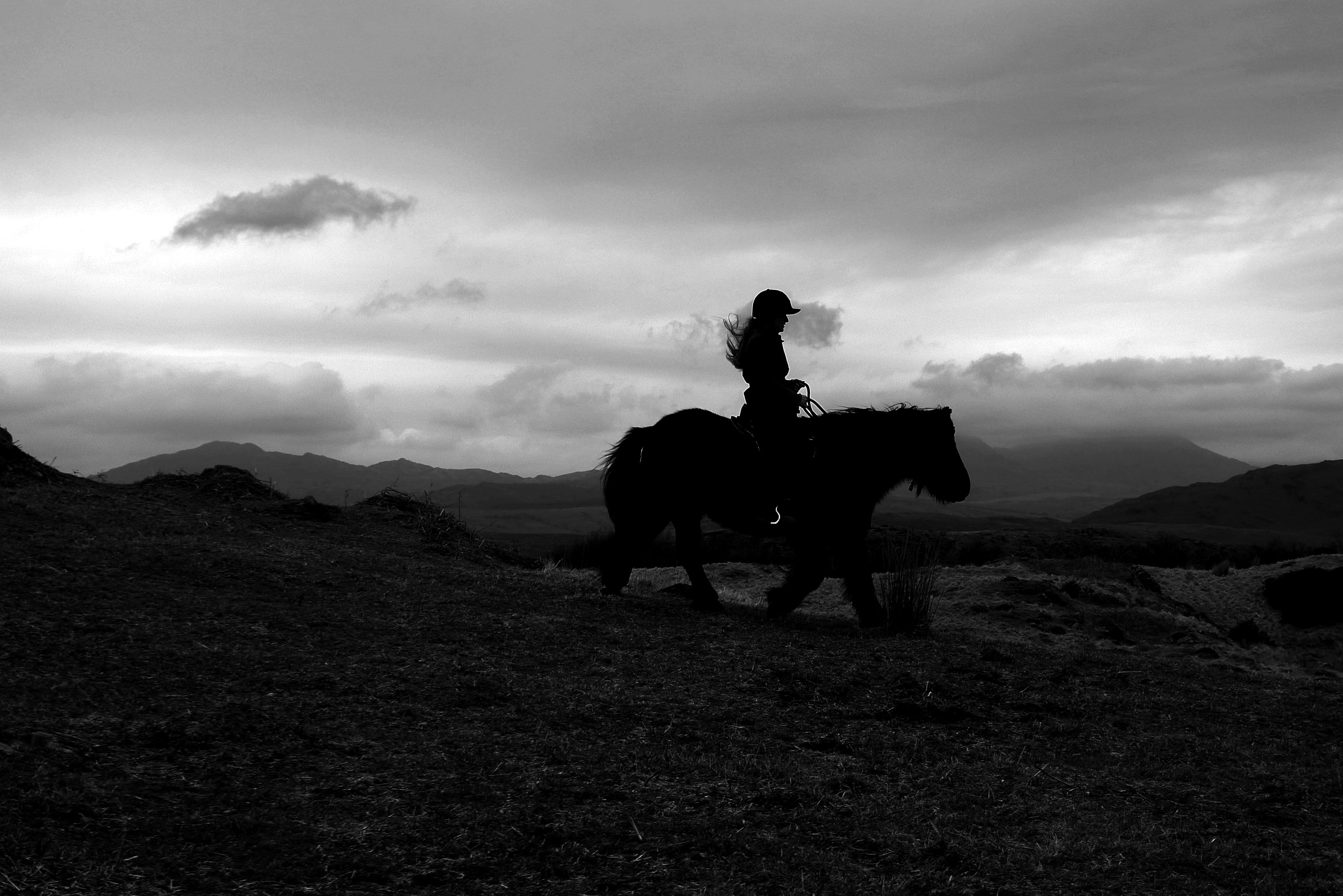 activity, silhouette, riding, equestrian, real people, dirt road, mountain range, animal wildlife, herbivorous, cloud - sky, land, 2K, ground, mountain, HD Wallpaper