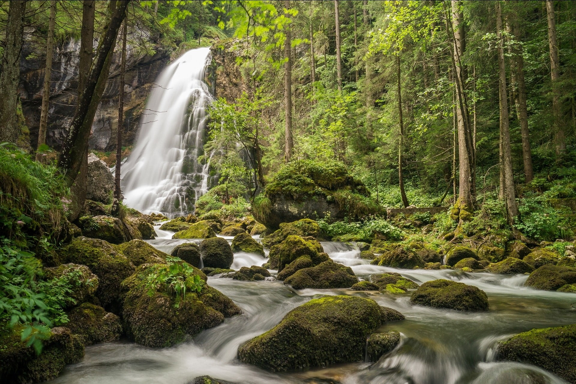 woodland, falling water, flowing, rainforest, rock, land, 1080P, blurred motion, nature, forest, waterfalls, scenics - nature, plant, water, no people, HD Wallpaper