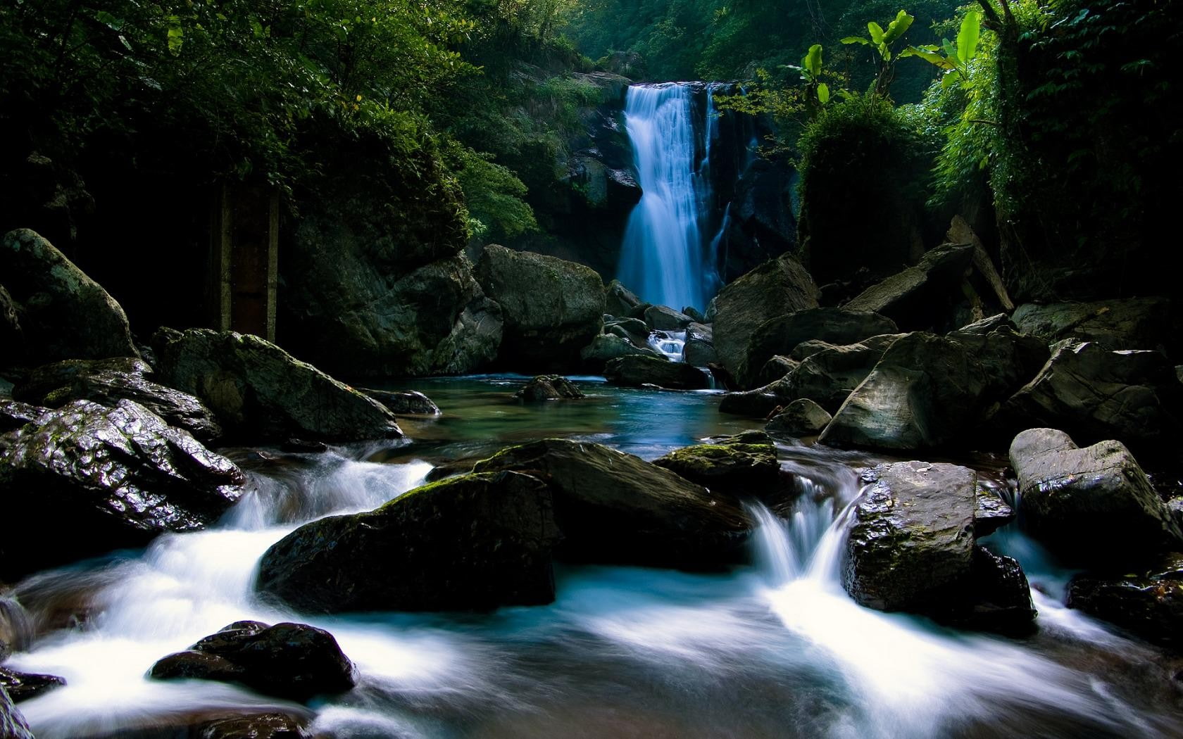 forest, mosses, 720P, waterfall, rock, near, nature, waterfalls, green, landscape, HD Wallpaper