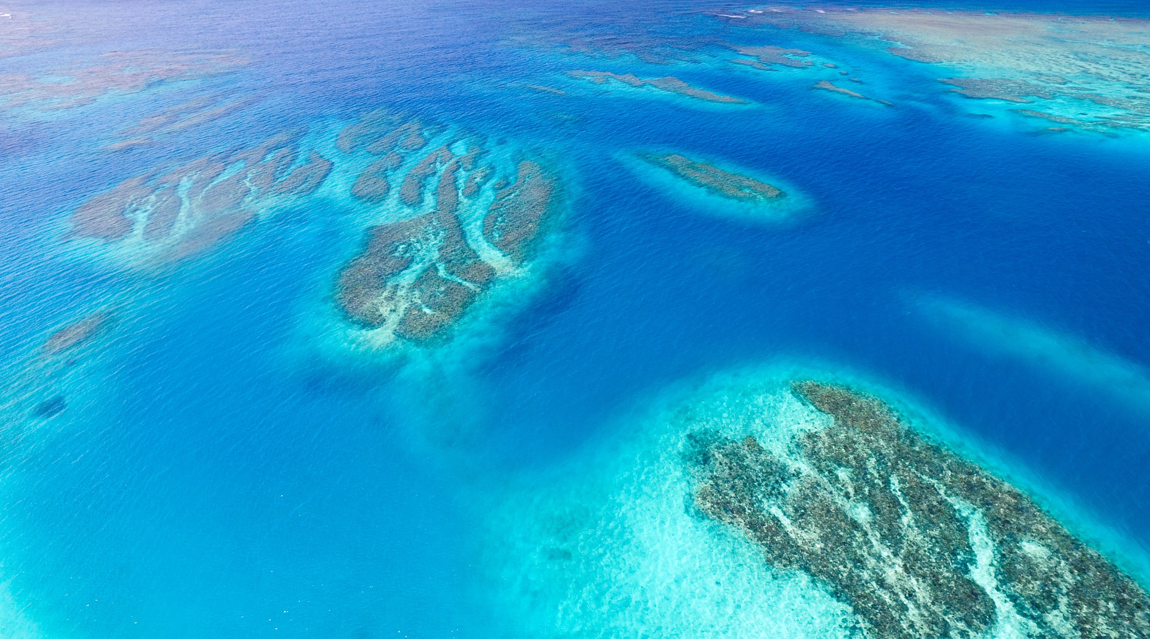 nature, kobaken, reef, no people, day, Water, Beach, Japan, outdoors, Travel, travel destinations, scenics - nature, Paradise, djiglobal, view, Coral, underwater, HD Wallpaper