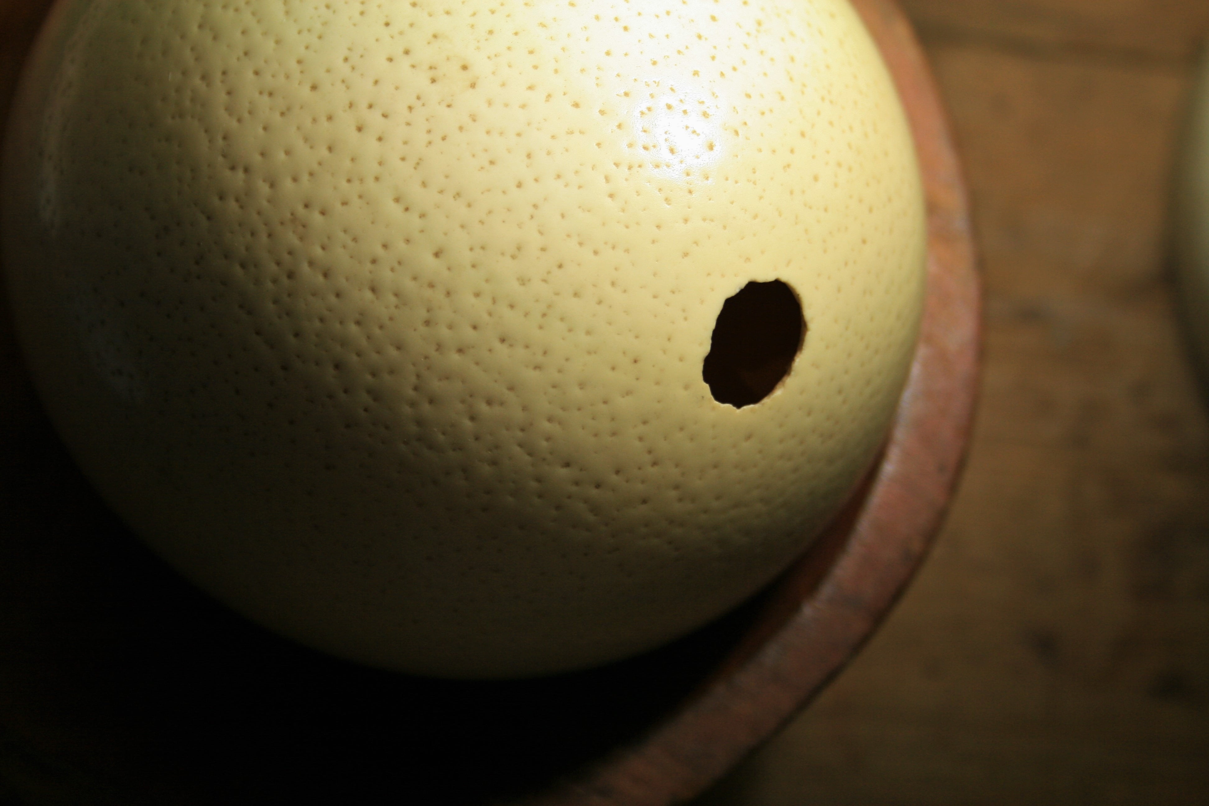 ostrich egg, sphere, dimpled, studio shot, single object, shell, indoors, healthy eating, fruit, close-up, focus on foreground, ball, egg, yellow, sport, HD Wallpaper
