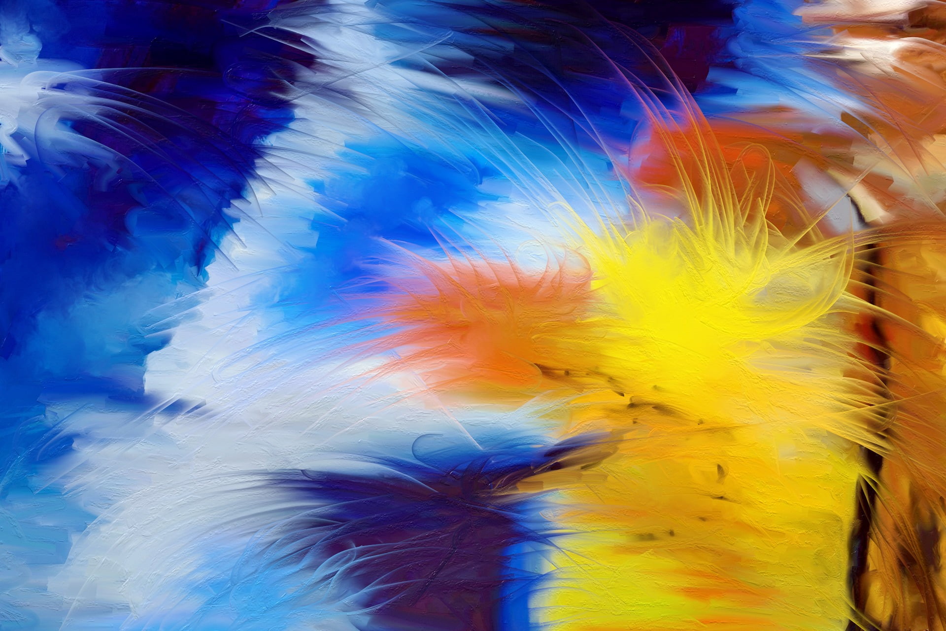 close-up, parrot, bird, vertebrate, white, vibrant Color, multicolored, textured, indoors, paint, animal, feather, macro, textured effect, fluffy, multi Colored, HD Wallpaper