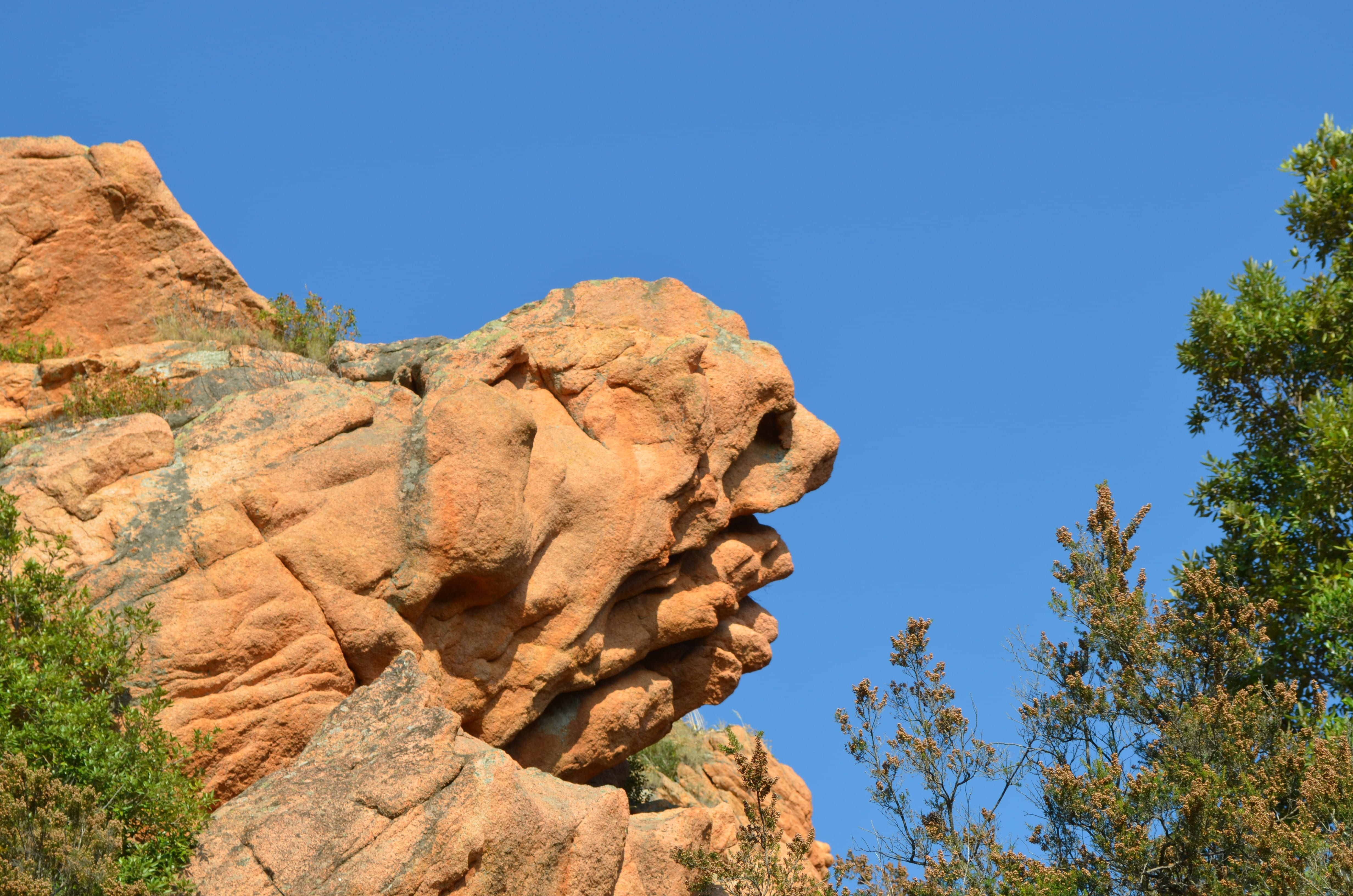 scenics - nature, nature, solid, stone figure, Corsica, growth, beauty in nature, rock - object, mountain, no people, scenics, tranquility, outdoors, rock, HD Wallpaper