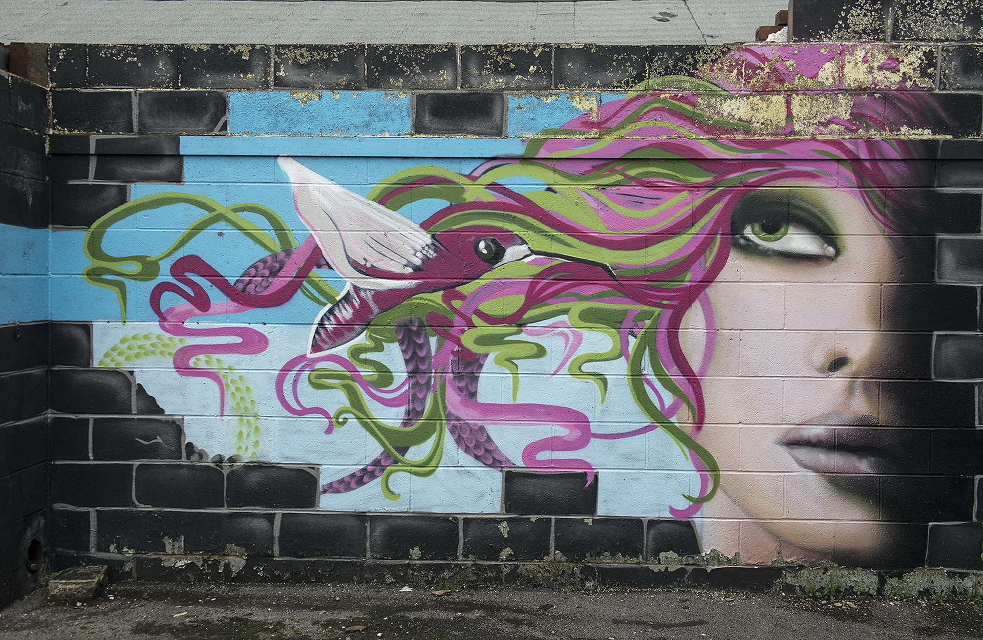 grafiti, the city, 1080P, street, HD Wallpaper