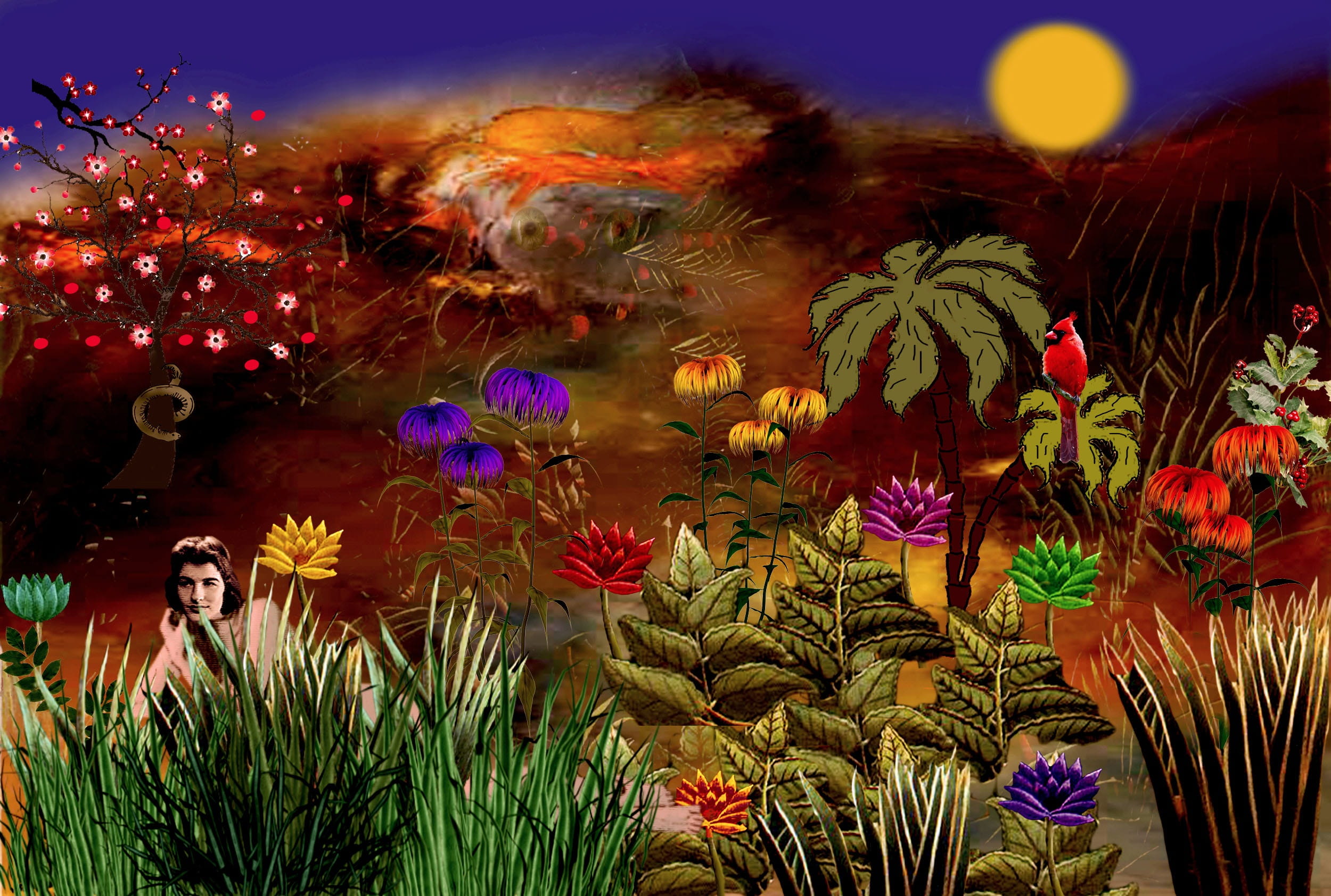growth, chinese new year, beauty in nature, flowering plant, ornate, Plant, close-up, Garden, Eden, 1080P, outdoors, photoshop, Colorful, festival, sky, HD Wallpaper
