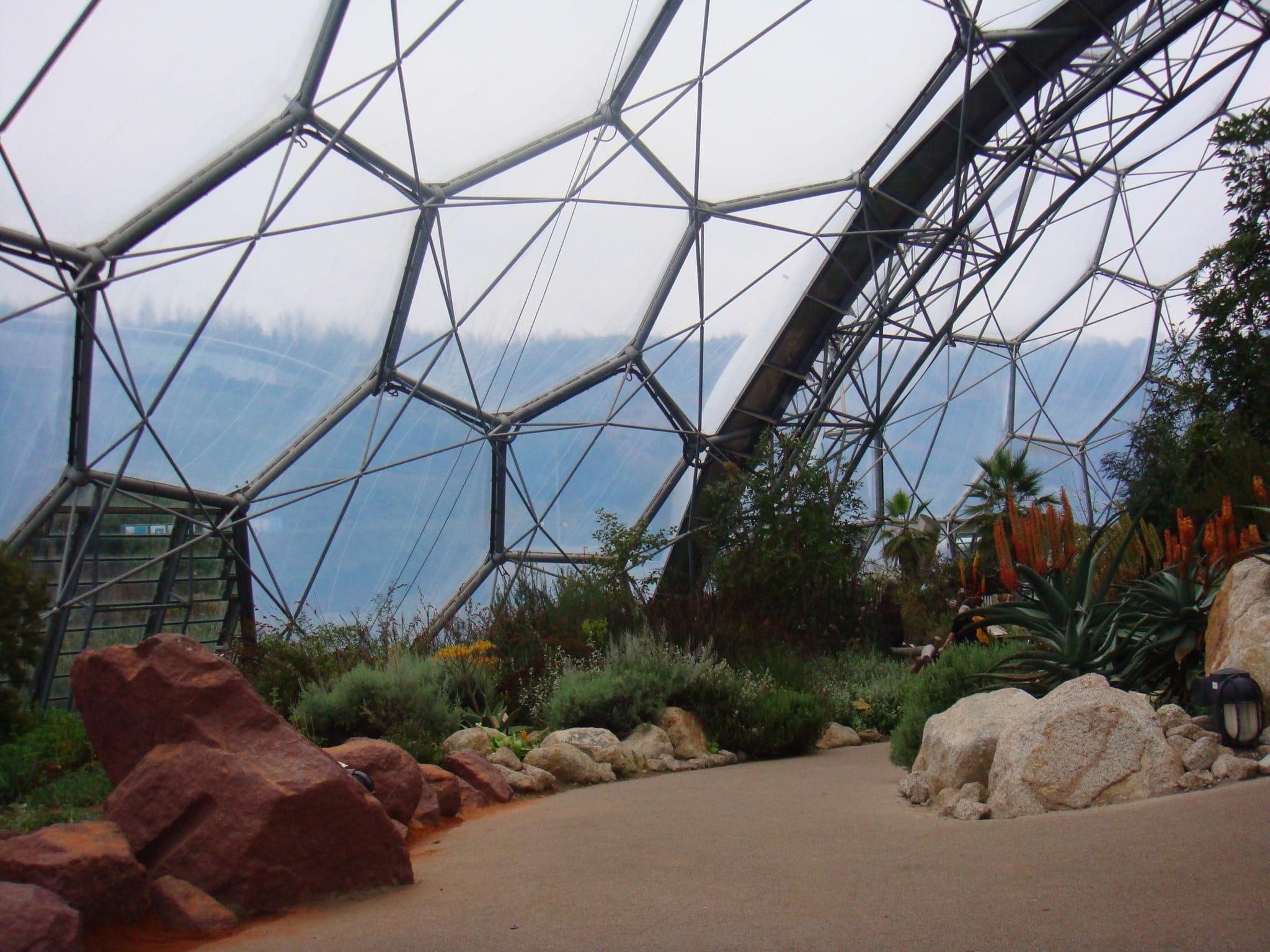 close-up, garden, Plants, growth, conservation, tree, day, nature, 1080P, project, architecture, sky, dome, Greenhouse, glasshouse, built structure, rock - object, HD Wallpaper