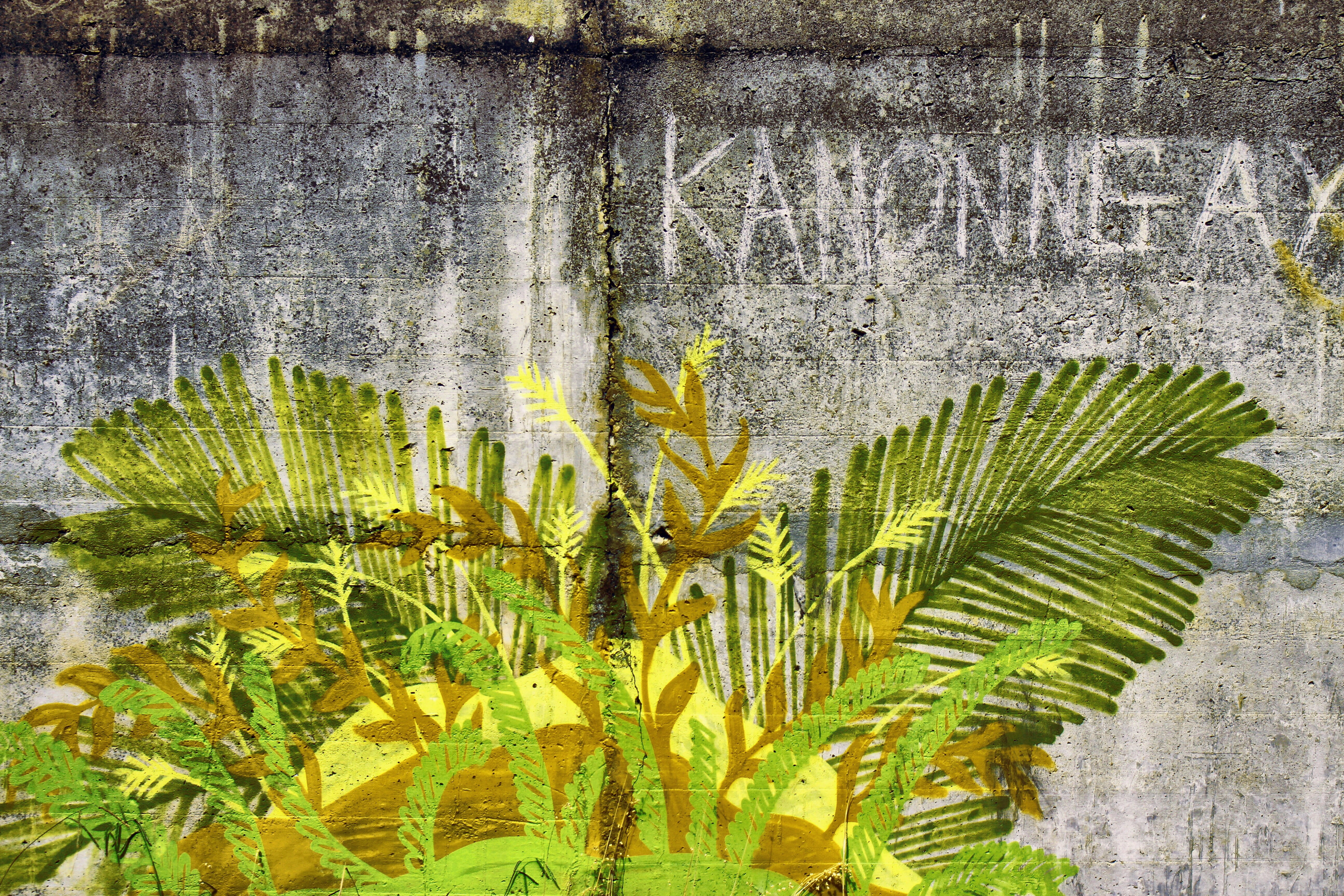 plant part, painted, still, 5K, eden, hermanus, graffiti, close-up, grey, gold, green, no people, name, water, spray, growth, brown, creation, dom, south africa, HD Wallpaper