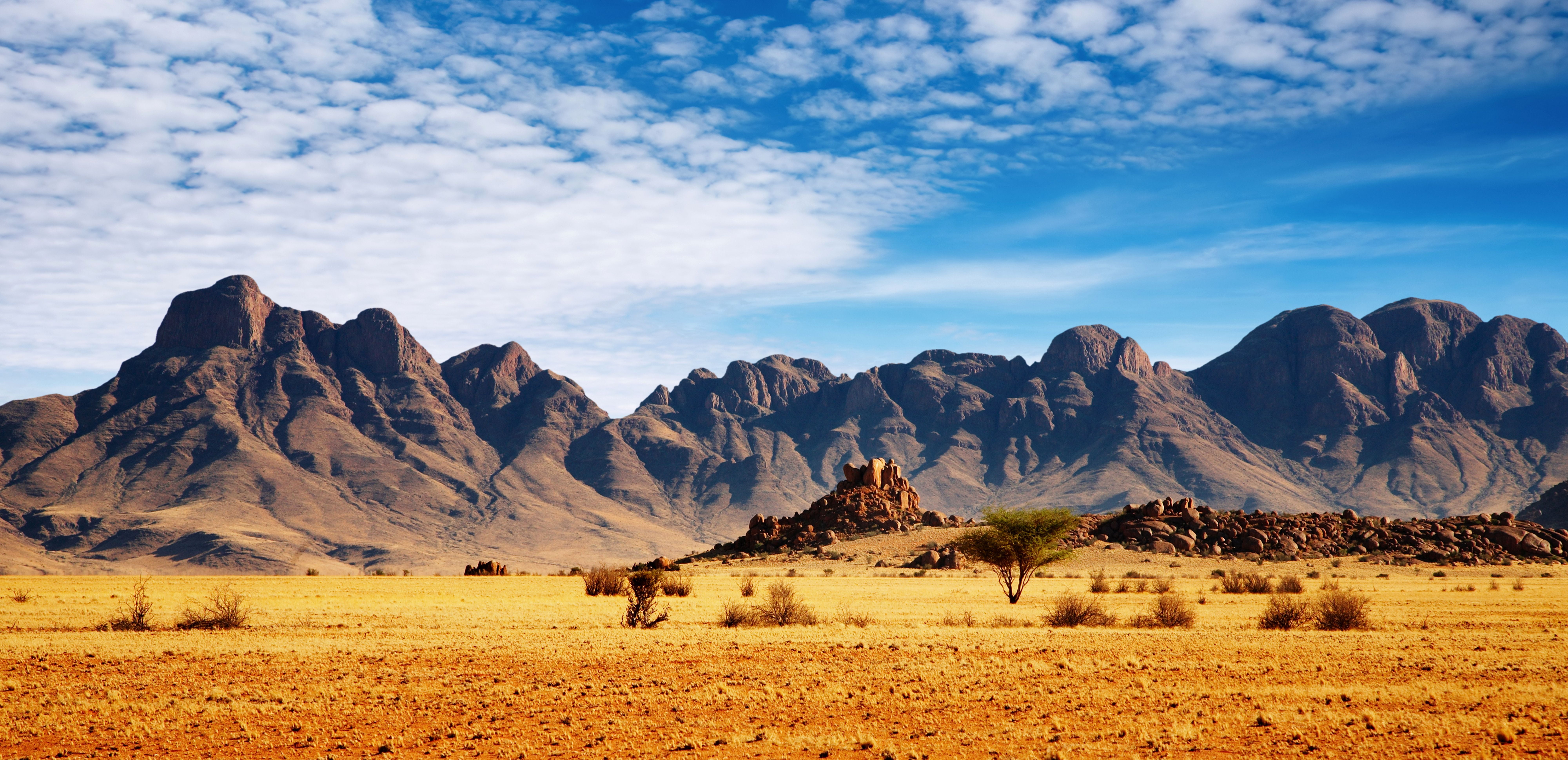 animal themes, famous Place, tourism, tranquil scene, desert, dry, remote, beautiful landscape, nature, widescreen, national Park, sunlight, mountain Range, HD Wallpaper