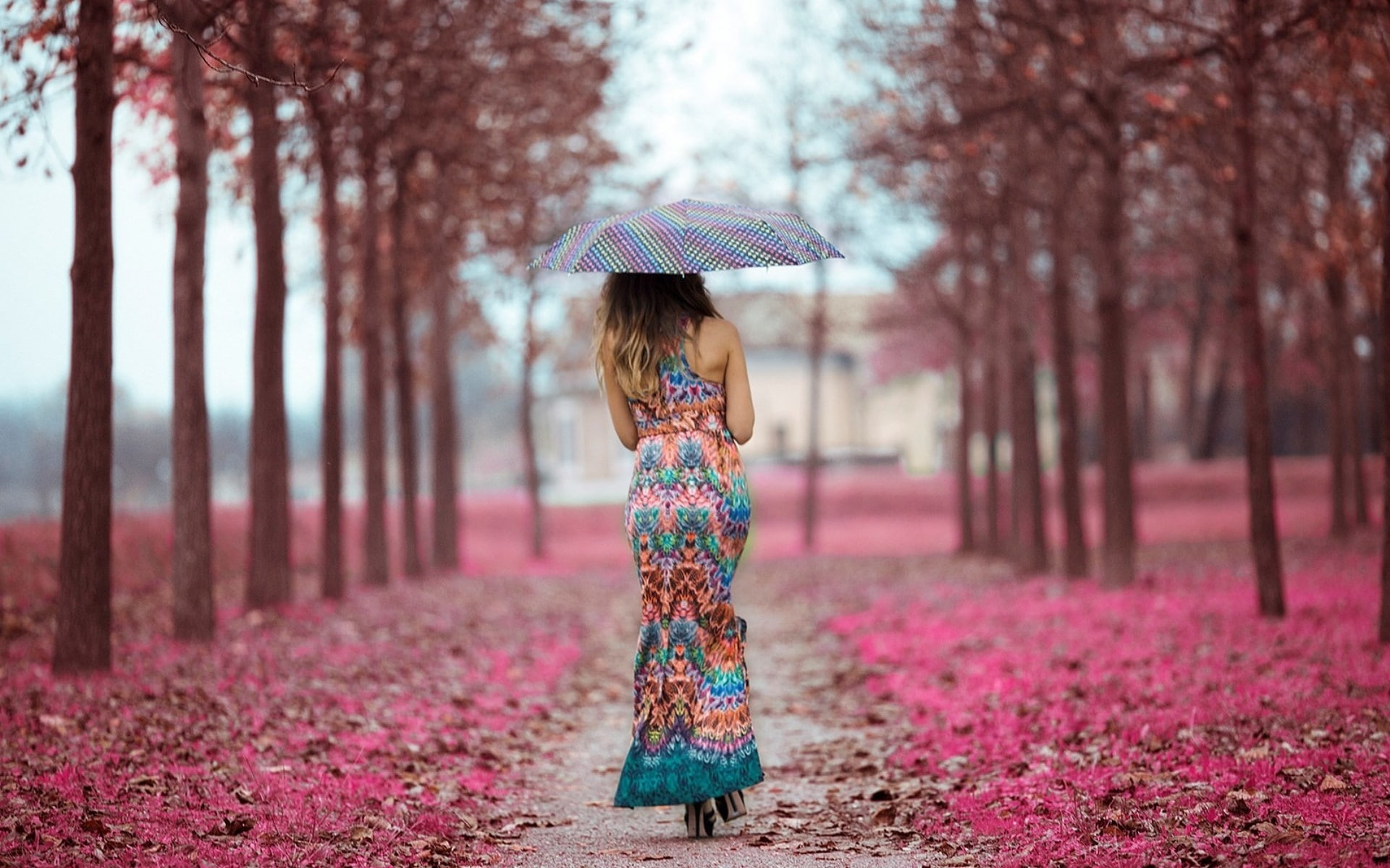 tree, security, full length, rear view, standing, land, real people, nature, one person, plant, clothing, adult, protection, outdoors, rain, umbrella, women, HD Wallpaper