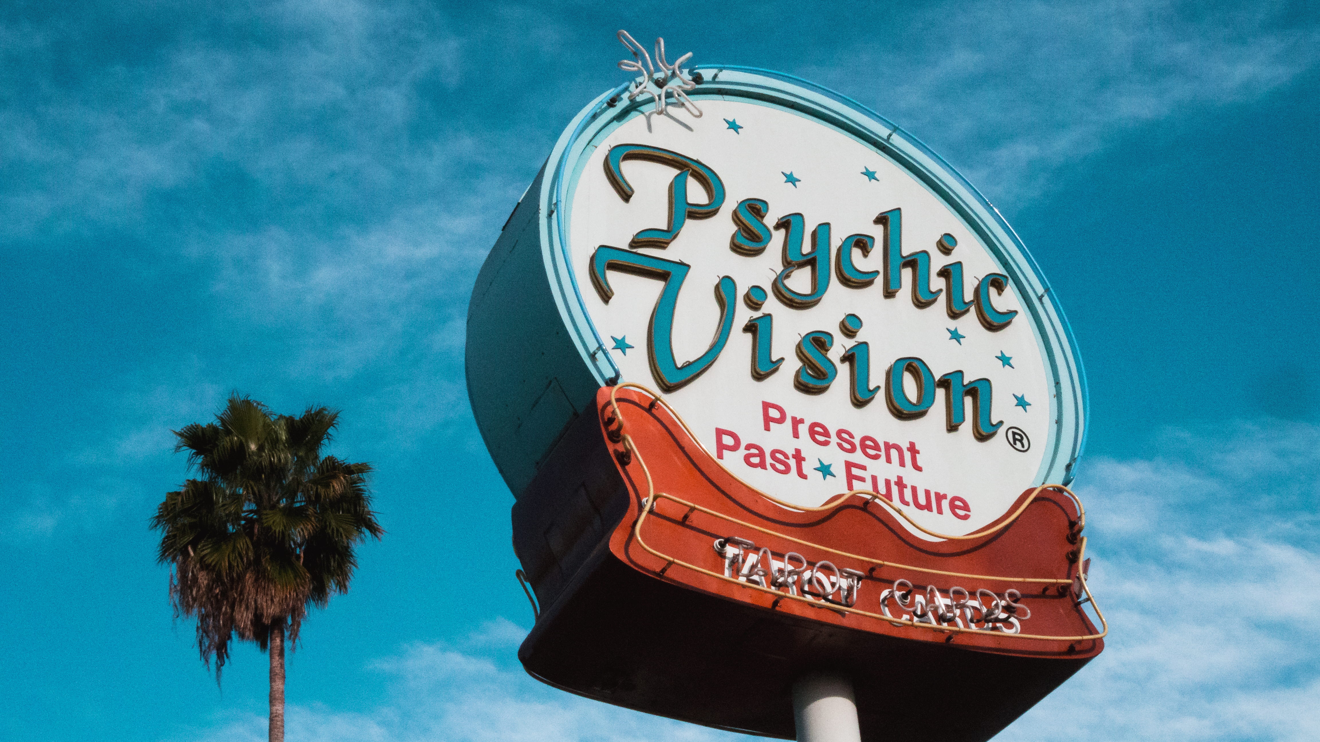 travel destinations, nature, western script, psychic, no people, vision, tree, signage, psyshic, palm tree, arts culture and entertainment, text, 4K, plant, HD Wallpaper