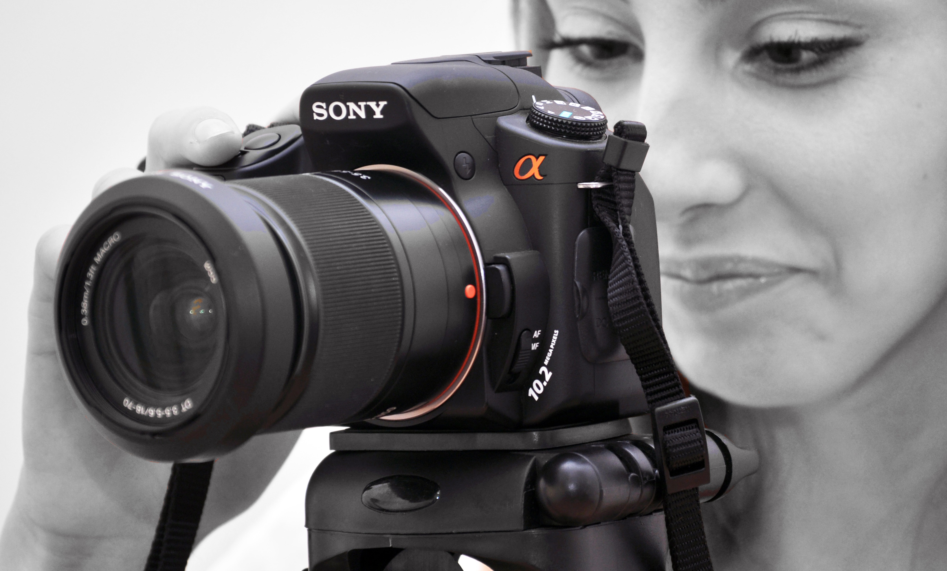 selective, technology, photography themes, young adult, camera, close-up, photographer, black, portrait, photos, photographic equipment, alpha, color, board, HD Wallpaper