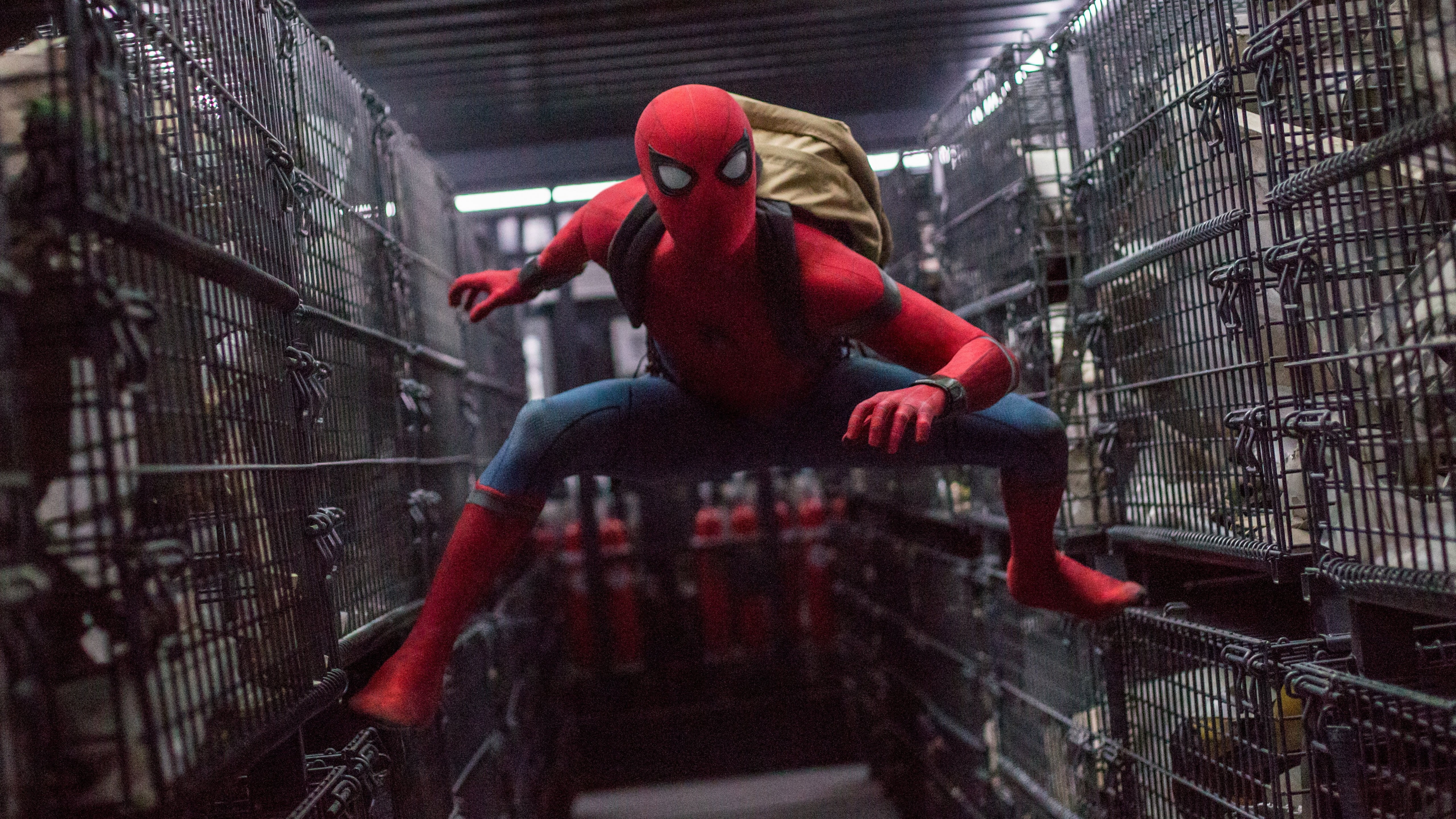 cage, 5K, amazing, top, man, Marvel, photo, Spider-Man: Homecoming, 8k, spider, 4k, Tom Holland, HD Wallpaper