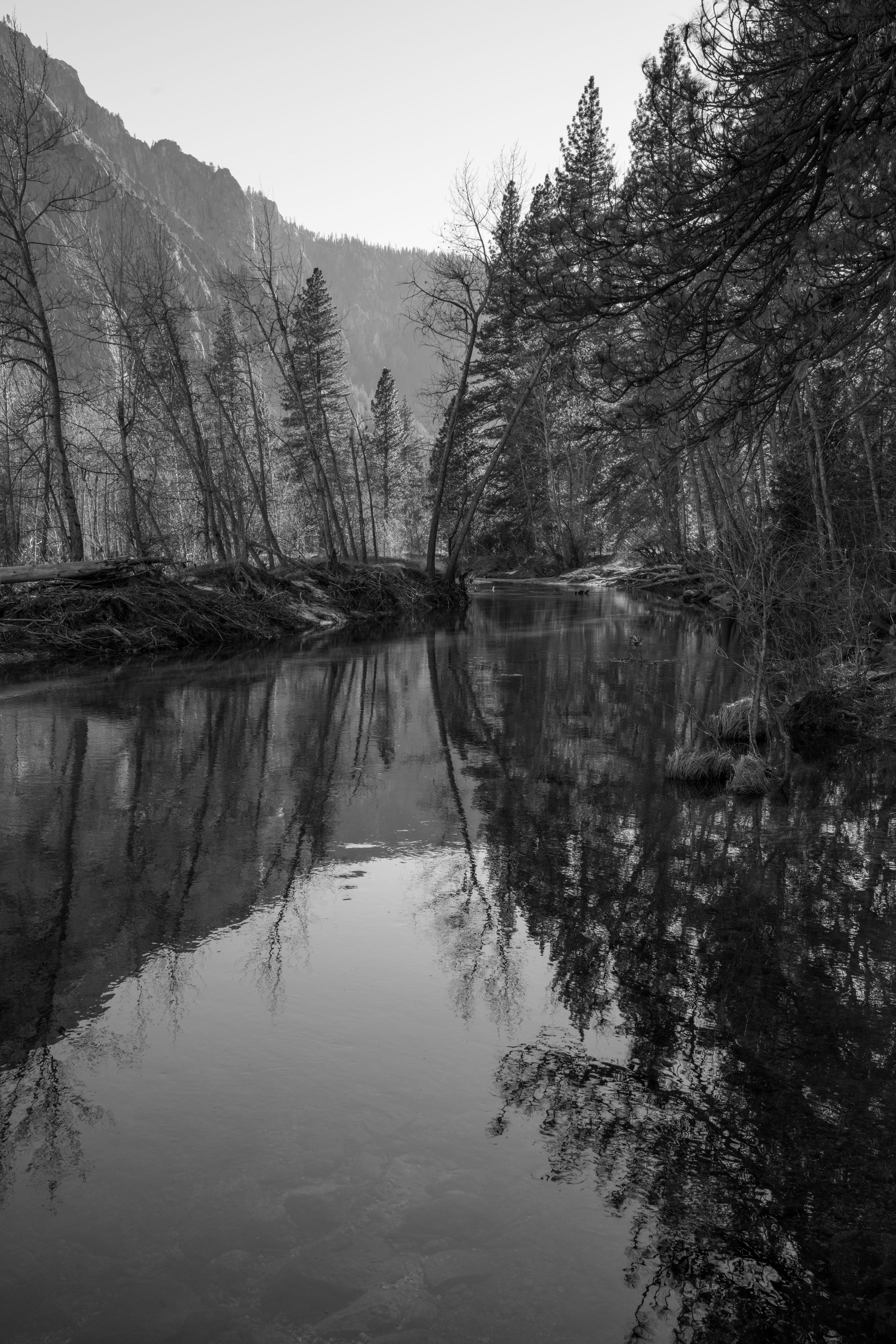 beautiful, explore, explorer, plant, adventure, beauty in nature, wood, water, picture, symmetry, forest, no people, america, exploring, idyllic, adventure time, Phone HD Wallpaper