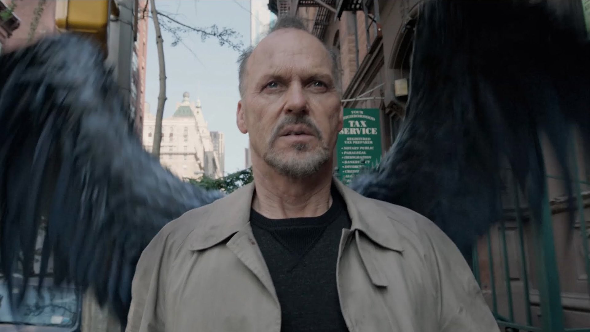 1080P, birdman, HD Wallpaper