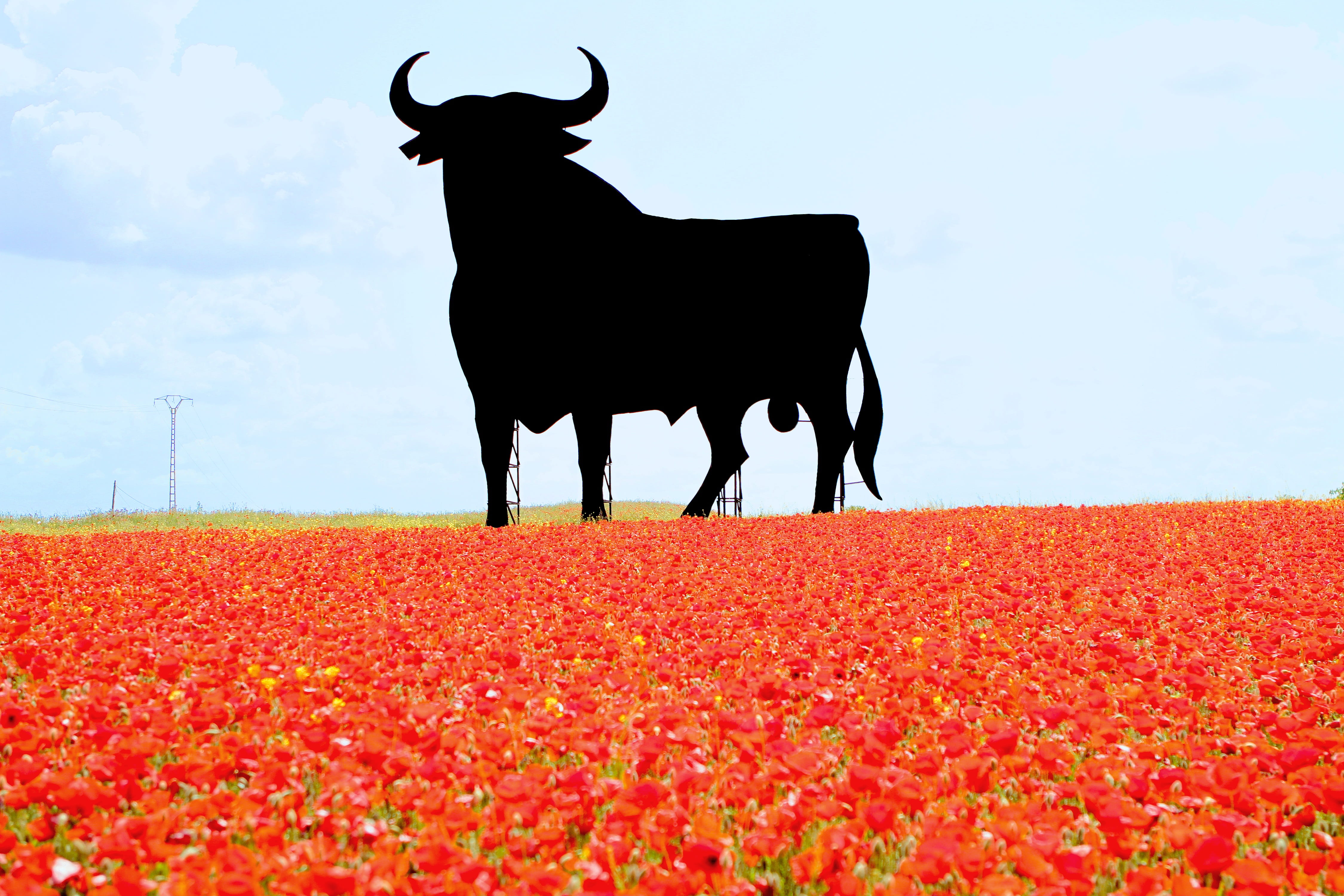 field, domestic, livestock, no people, spanish, nature, black, spain, beauty in nature, red, mammal, landmark, sky, animal, animal wildlife, billboard, HD Wallpaper