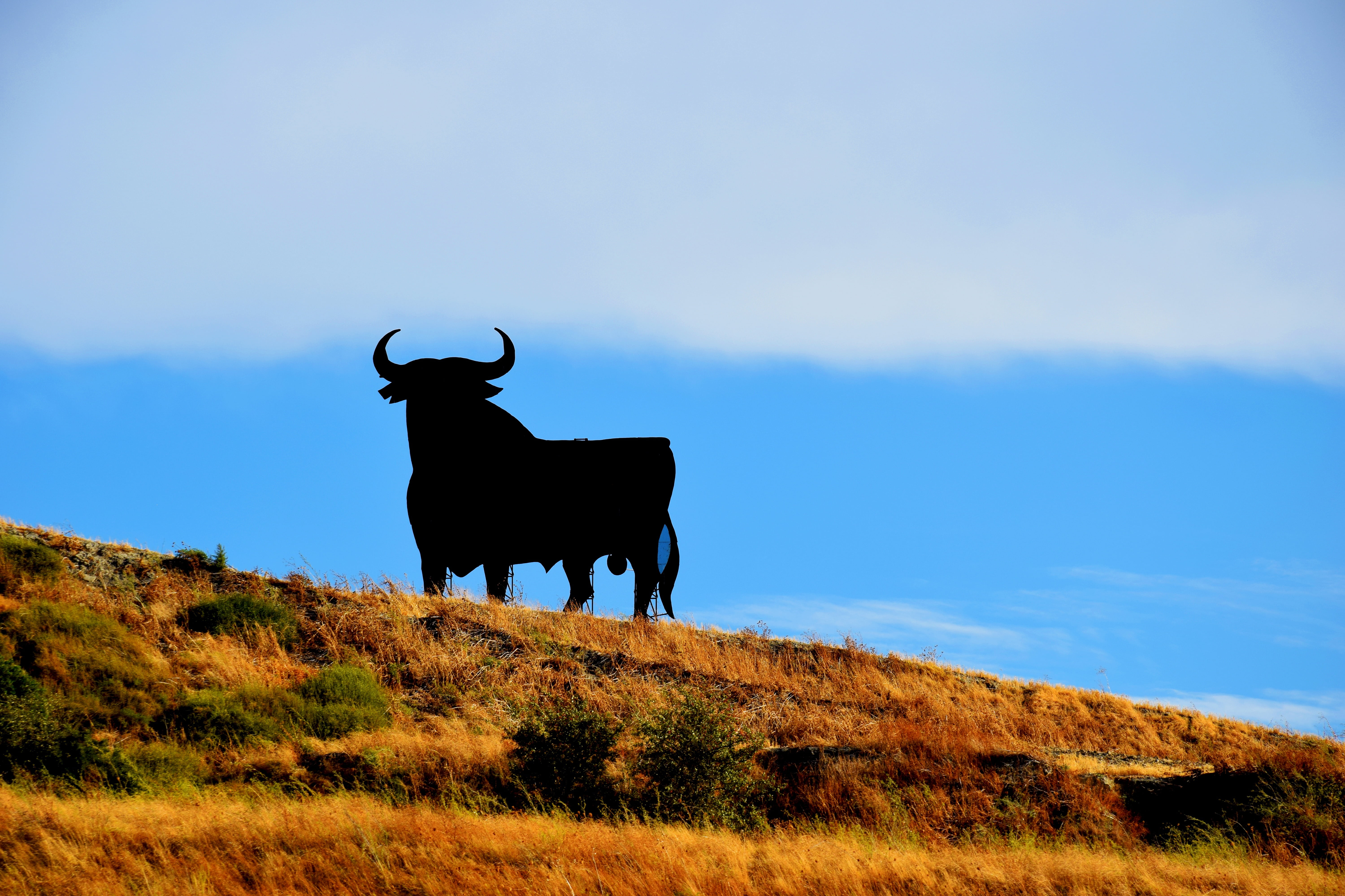 osborne, spain, no people, horned, environment, looking, mammal, vertebrate, cloud - sky, landscape, grass, land, cattle, meadow, cow, blue, one animal, HD Wallpaper