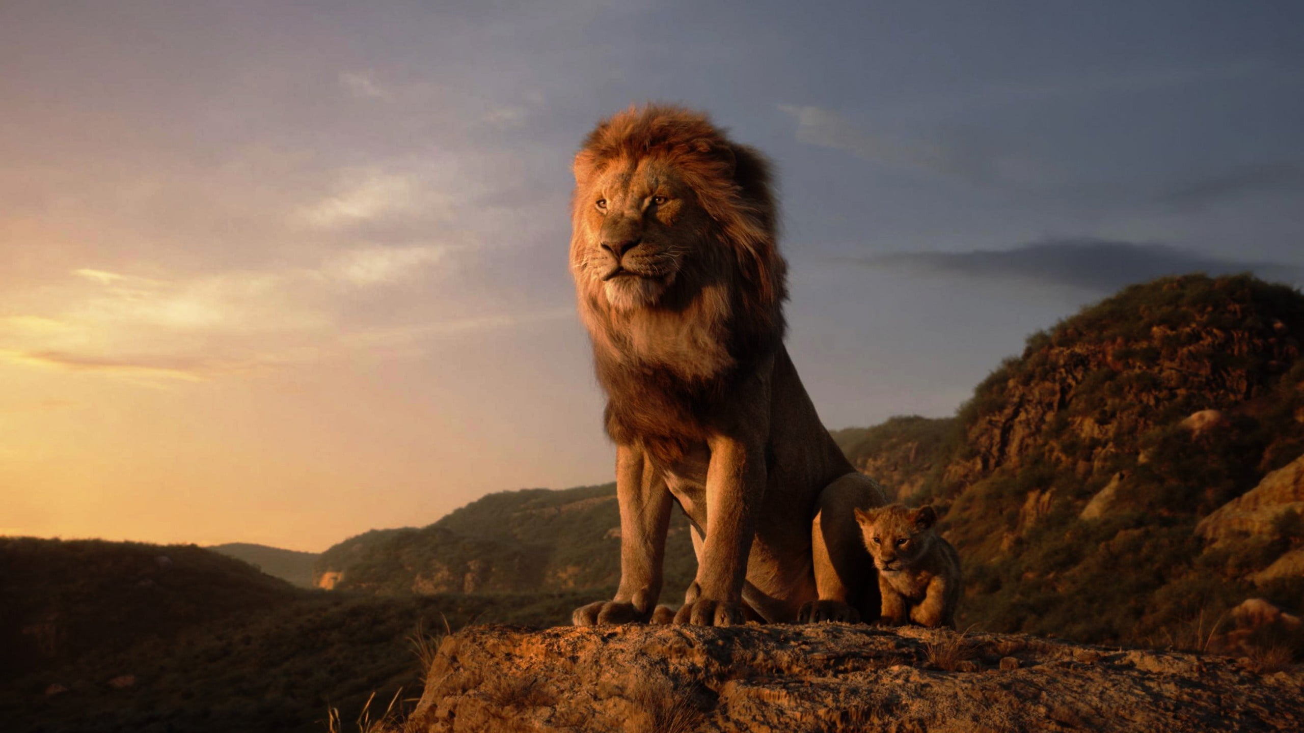 Walt Disney Pictures, The Lion King, Jon Favreau, 2K, A remake, HD Wallpaper