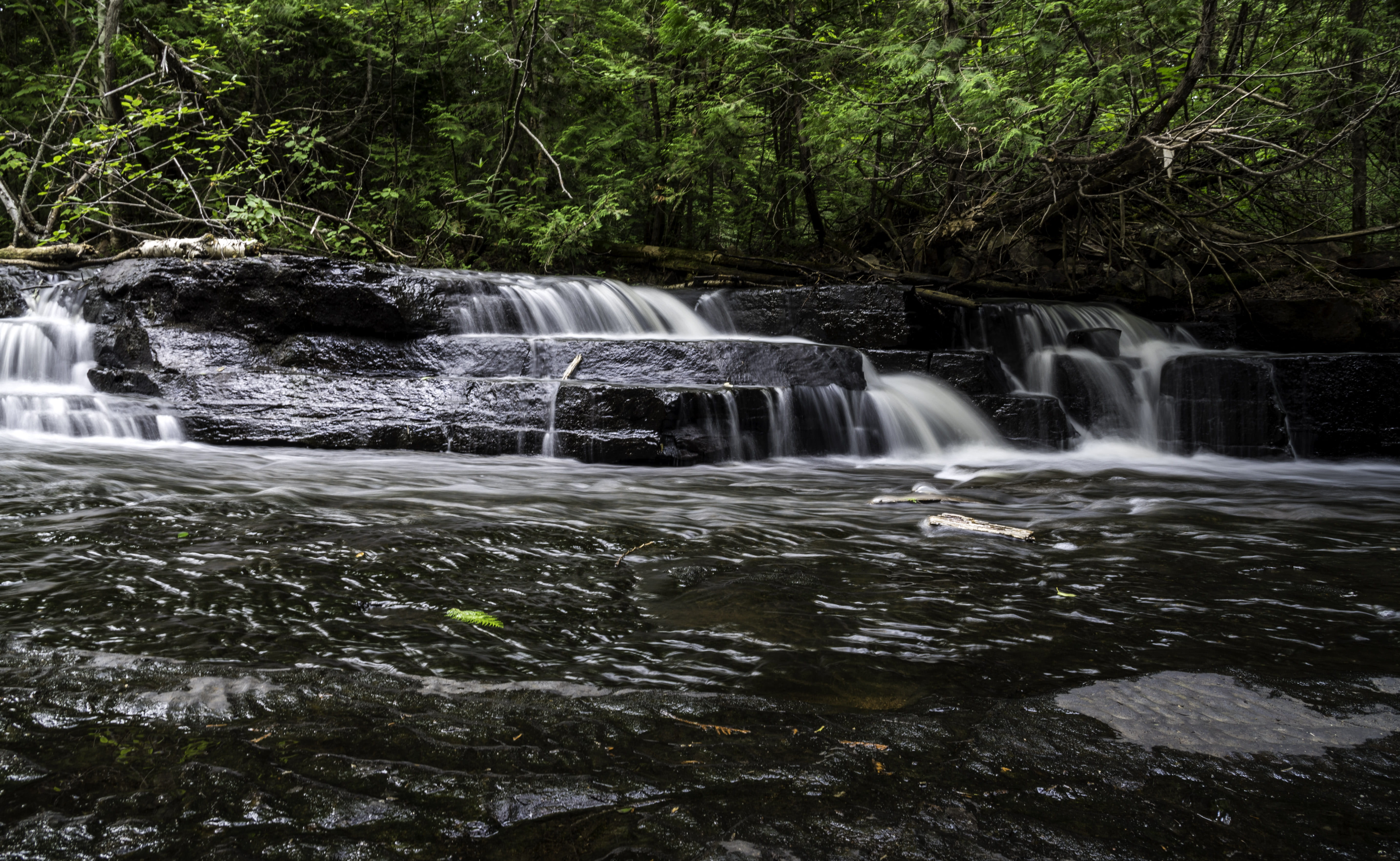 water, park, giant, photo, Creek, public domain, outdoors, flowing, flowing Water, tree, forest, nature, motion, Rapids, canada, environment, waterfront, HD Wallpaper