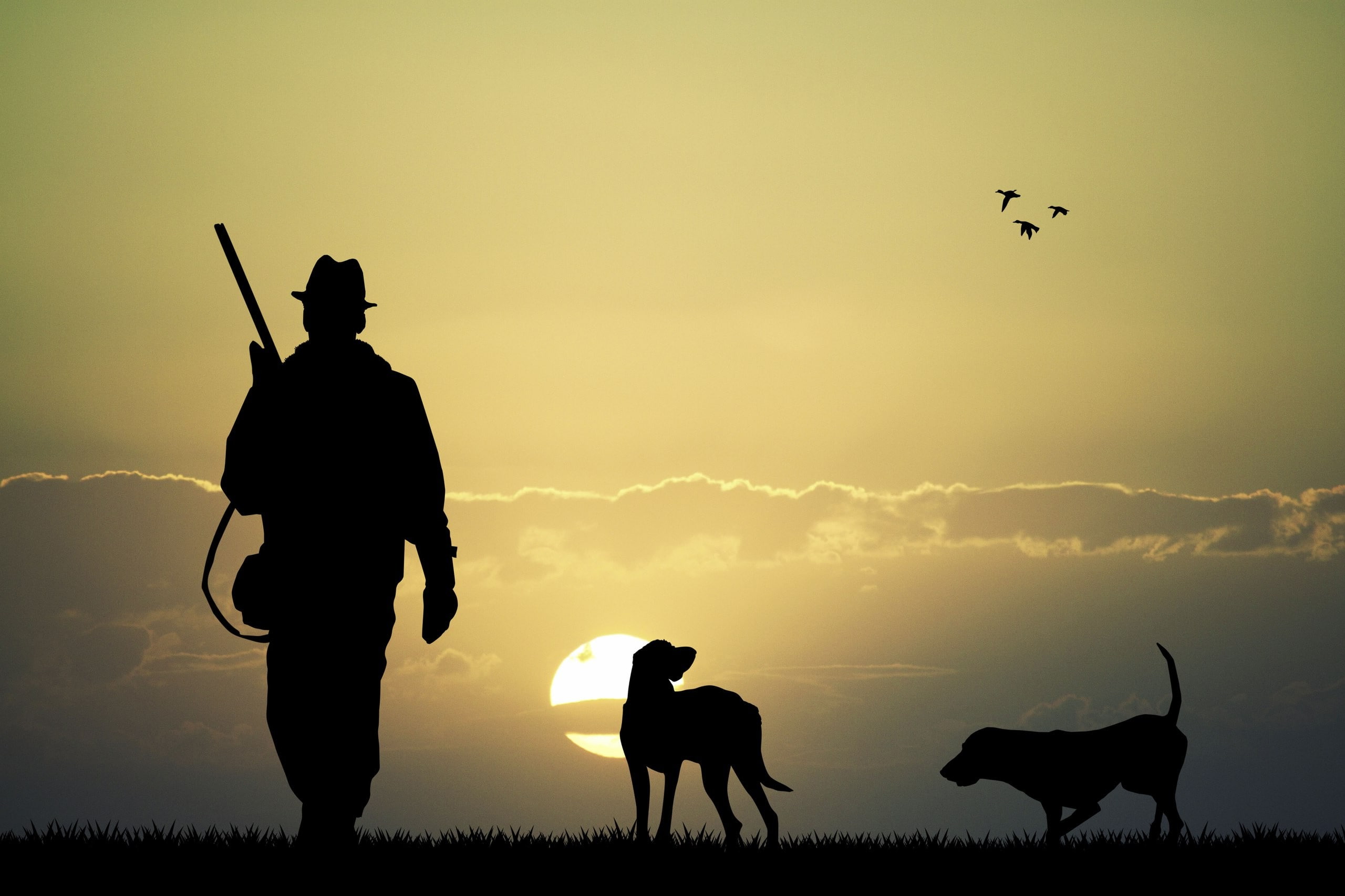 animals, domestic, sky, Hunting, pet owner, nature, men, animal wildlife, Rifles, outdoors, real people, pets, mammal, vertebrate, standing, leisure activity, HD Wallpaper