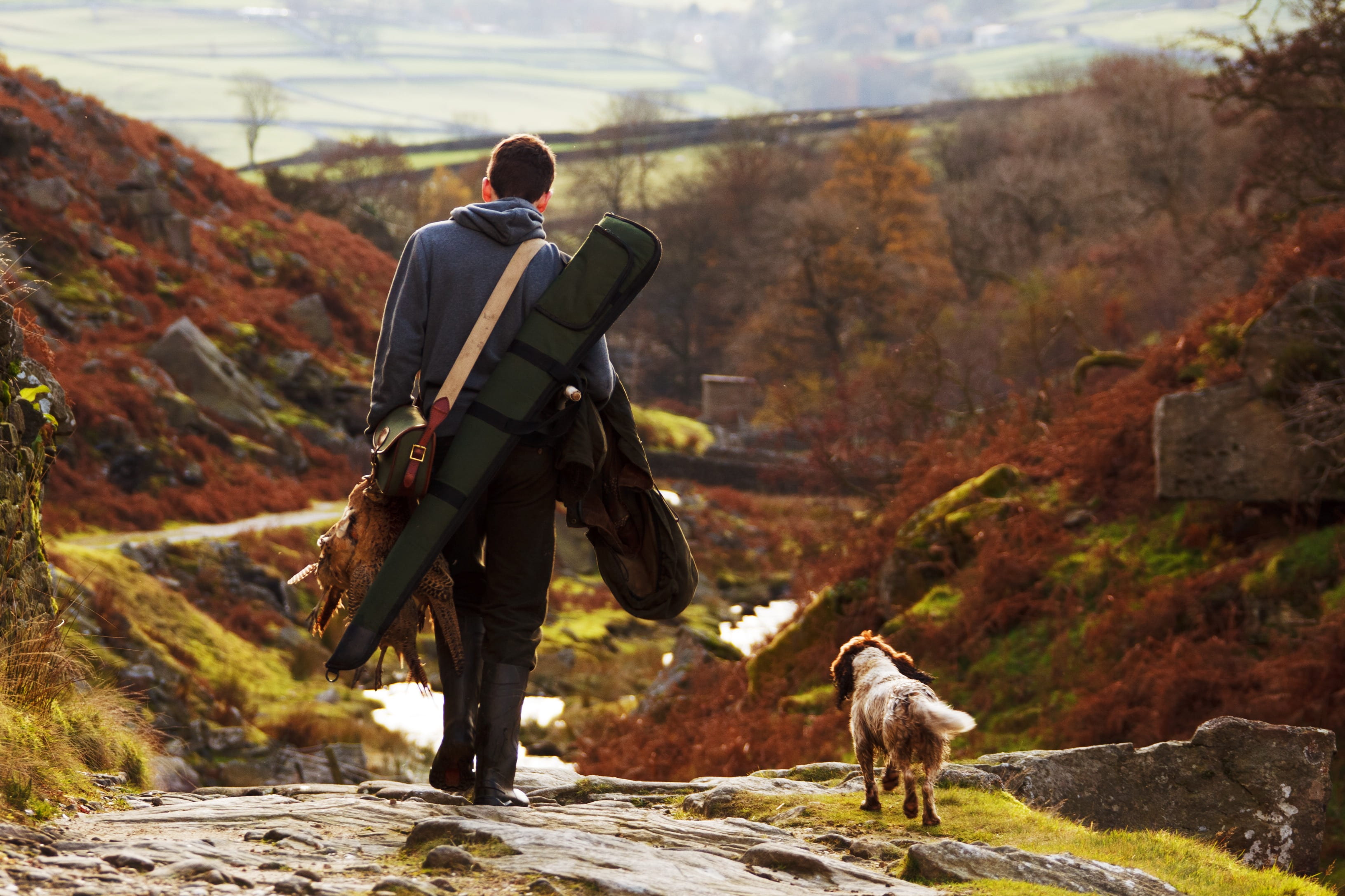 tree, white, short, pheasant, man, focus on foreground, bird, field, shooting, rock, bag, autumn, gun, outdoors, leisure activity, full length, hunting, HD Wallpaper