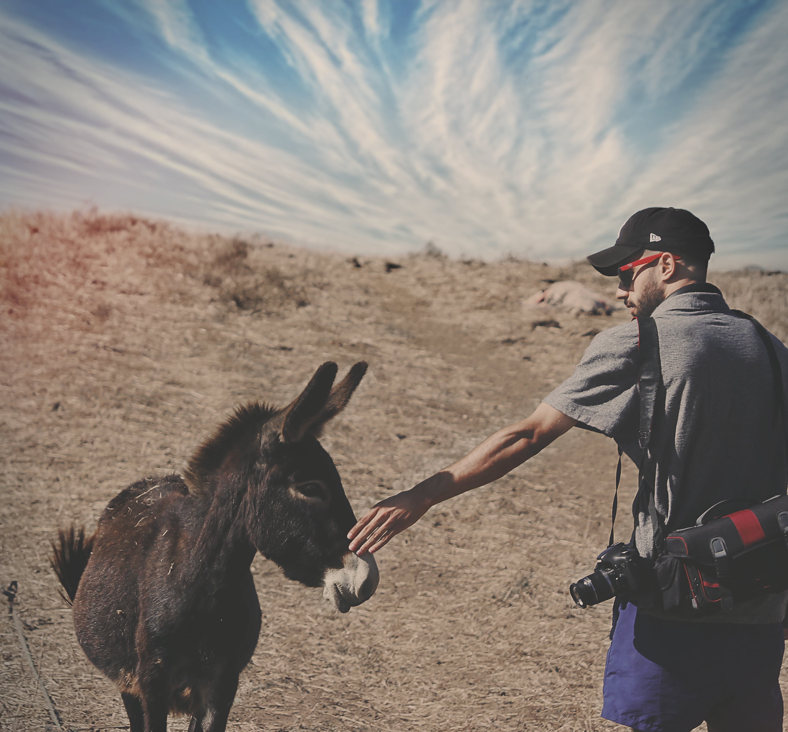 sky, adult, herbivorous, horseback riding, horse, sand, leisure activity, lifestyles, men, one person, blue, man, adventure, one man only, holding, arid climate, HD Wallpaper