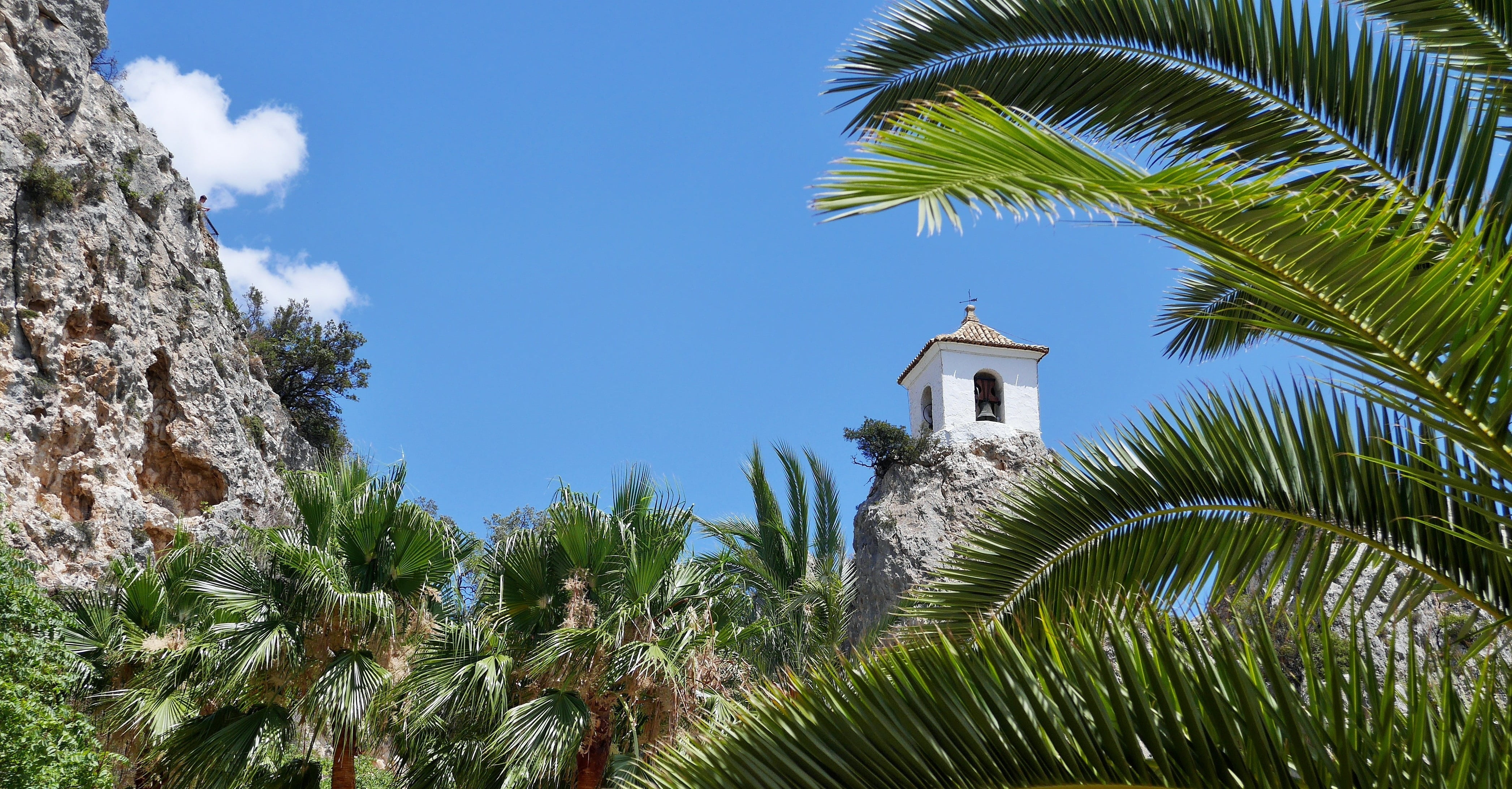 building, leafed, sky, water, palm tree, no people, tropical climate, alicante, trees, tree, green, travel destinations, 4K, land, religion, plant, palm leaf, HD Wallpaper