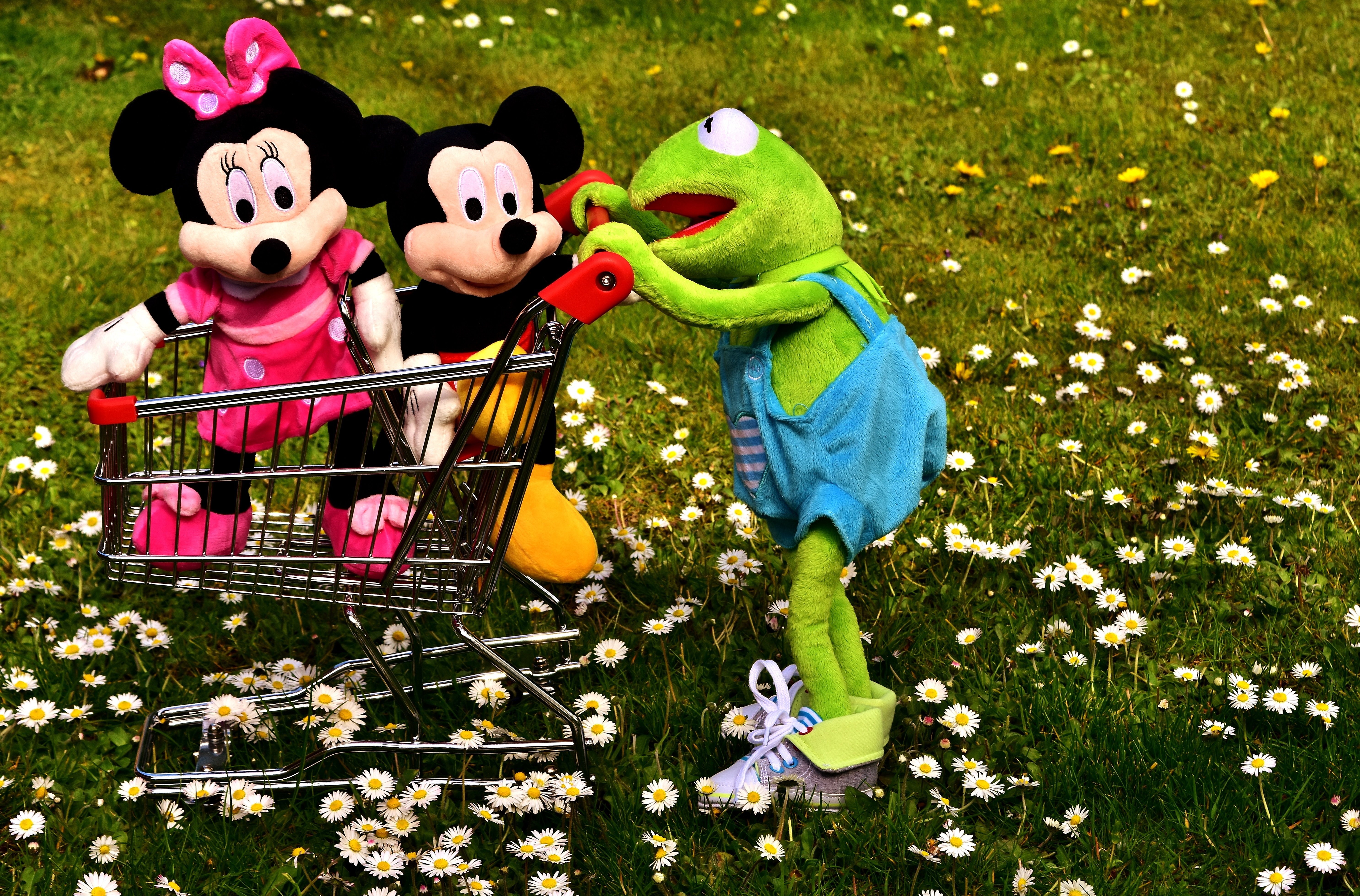 park, nature, green color, field, frog, plant, grass, plush toys, 5K, play, high angle view, representation, stuffed toy, animal, micky mouse, fun, funny, HD Wallpaper