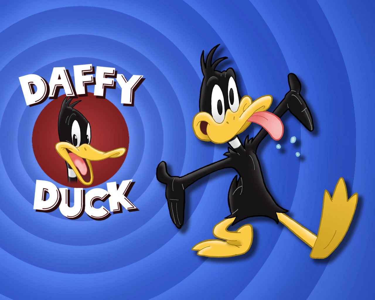 daffy duck, 720P, HD Wallpaper