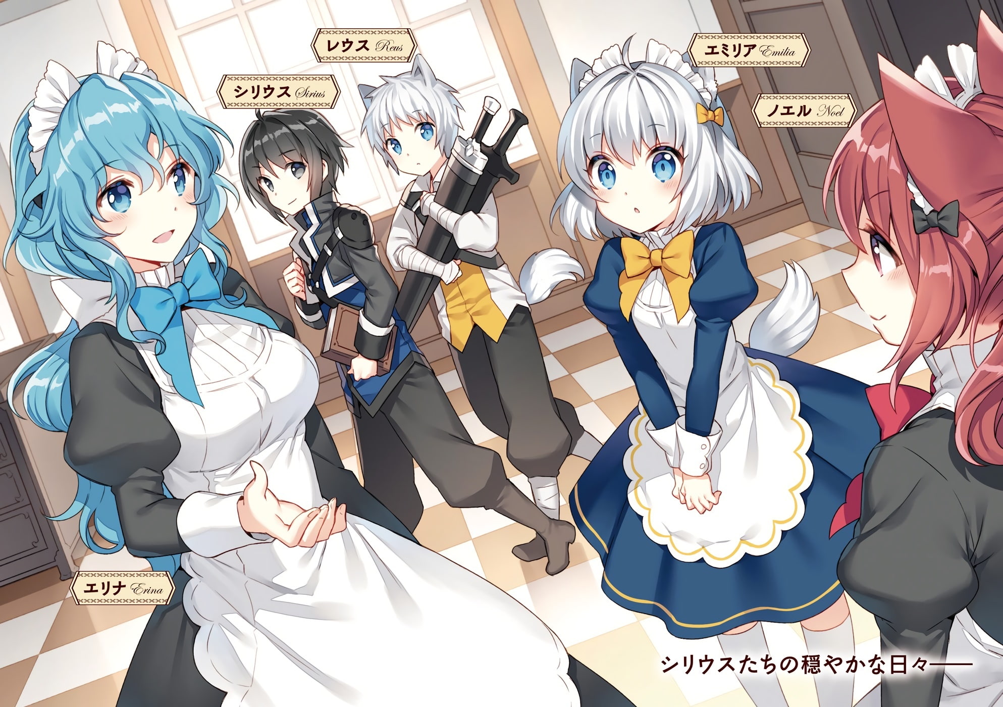black, dress, long, blush, bow, aqua, com, eyes, book, apron, tail, male, 1080P, sword, headdress, gray, nardack, boots, group, hair, 245601, konachan, HD Wallpaper