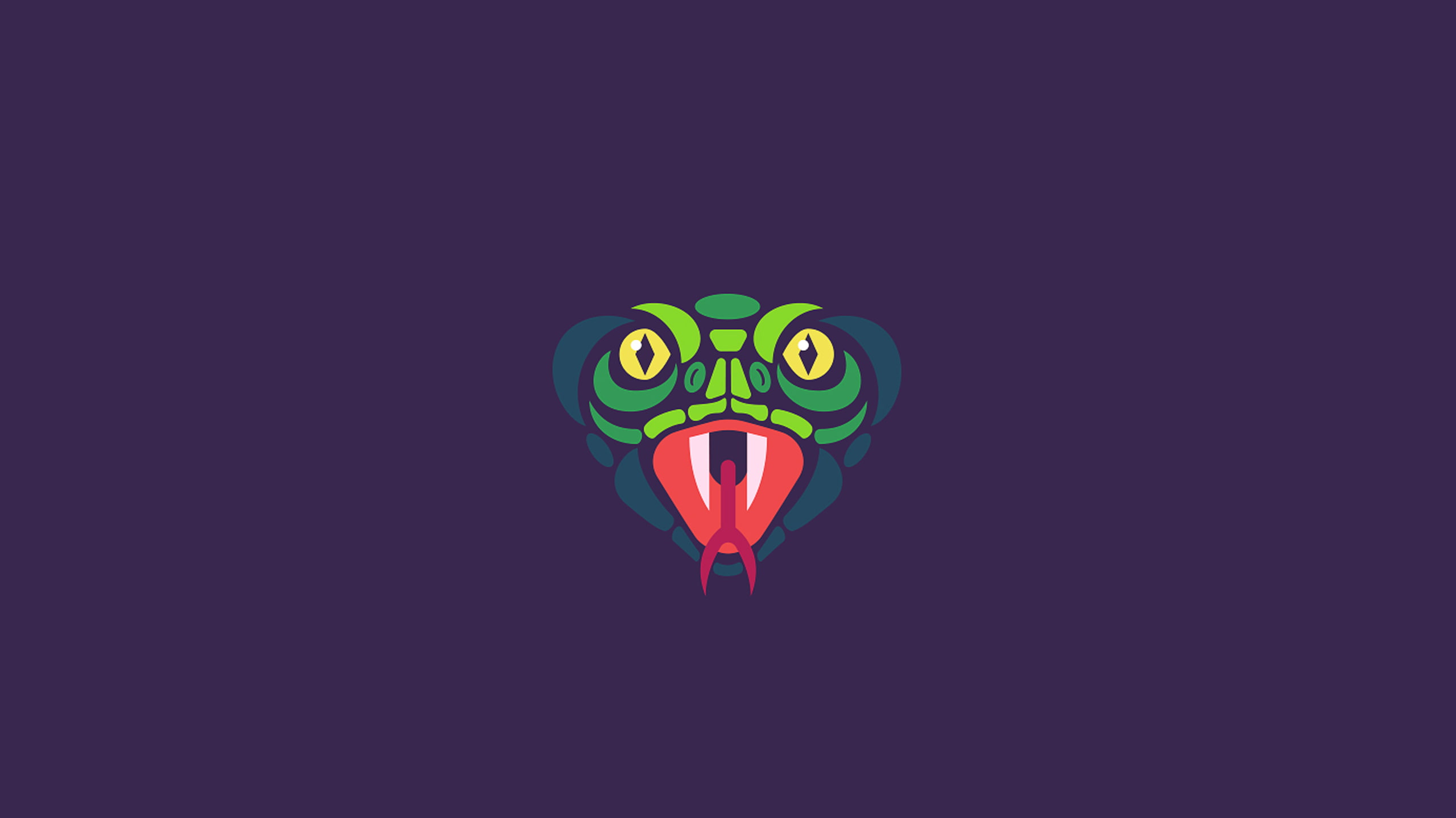 animals, 2K, snake, graphic design, HD Wallpaper