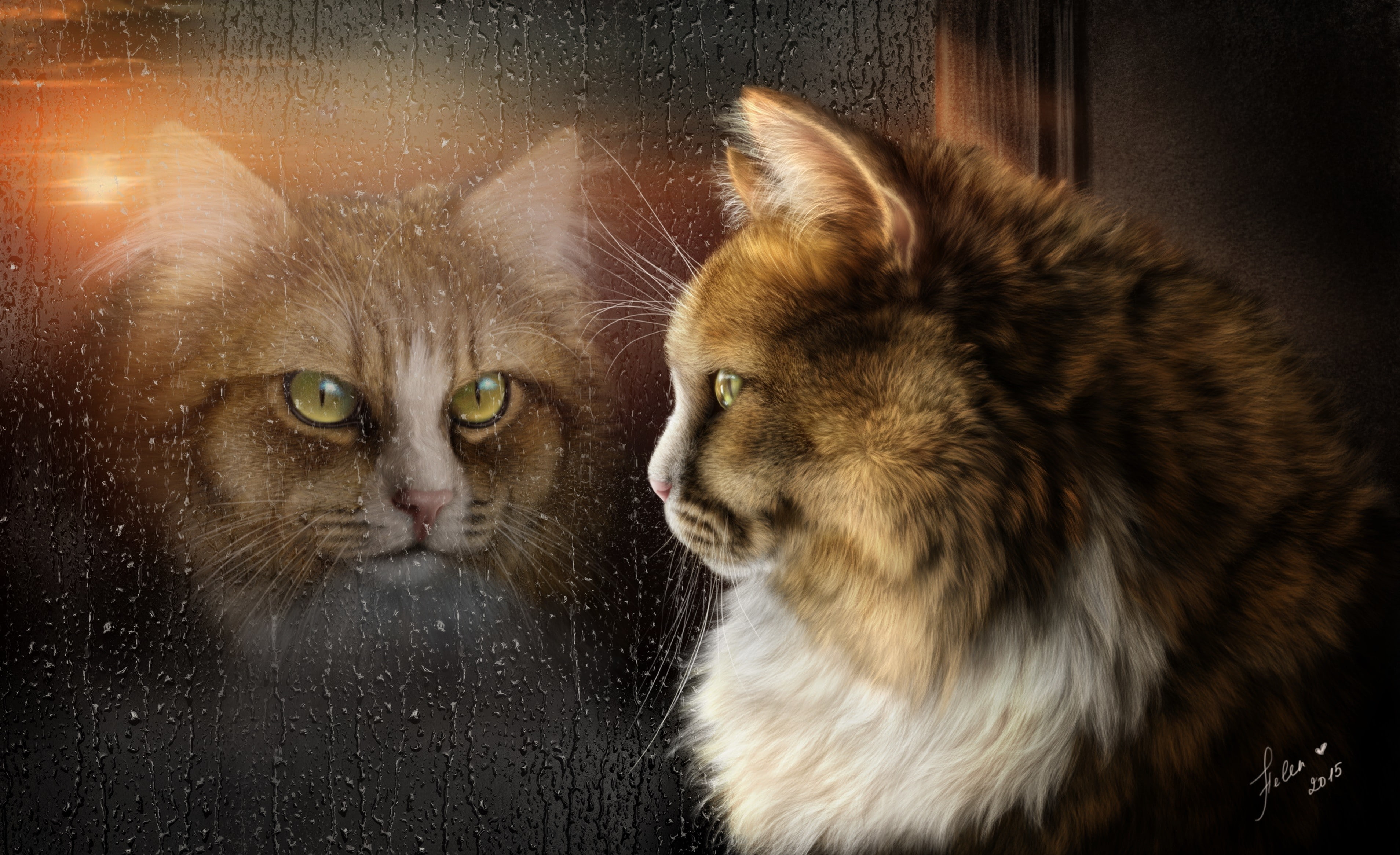 2K, render, animals, cat, HD Wallpaper