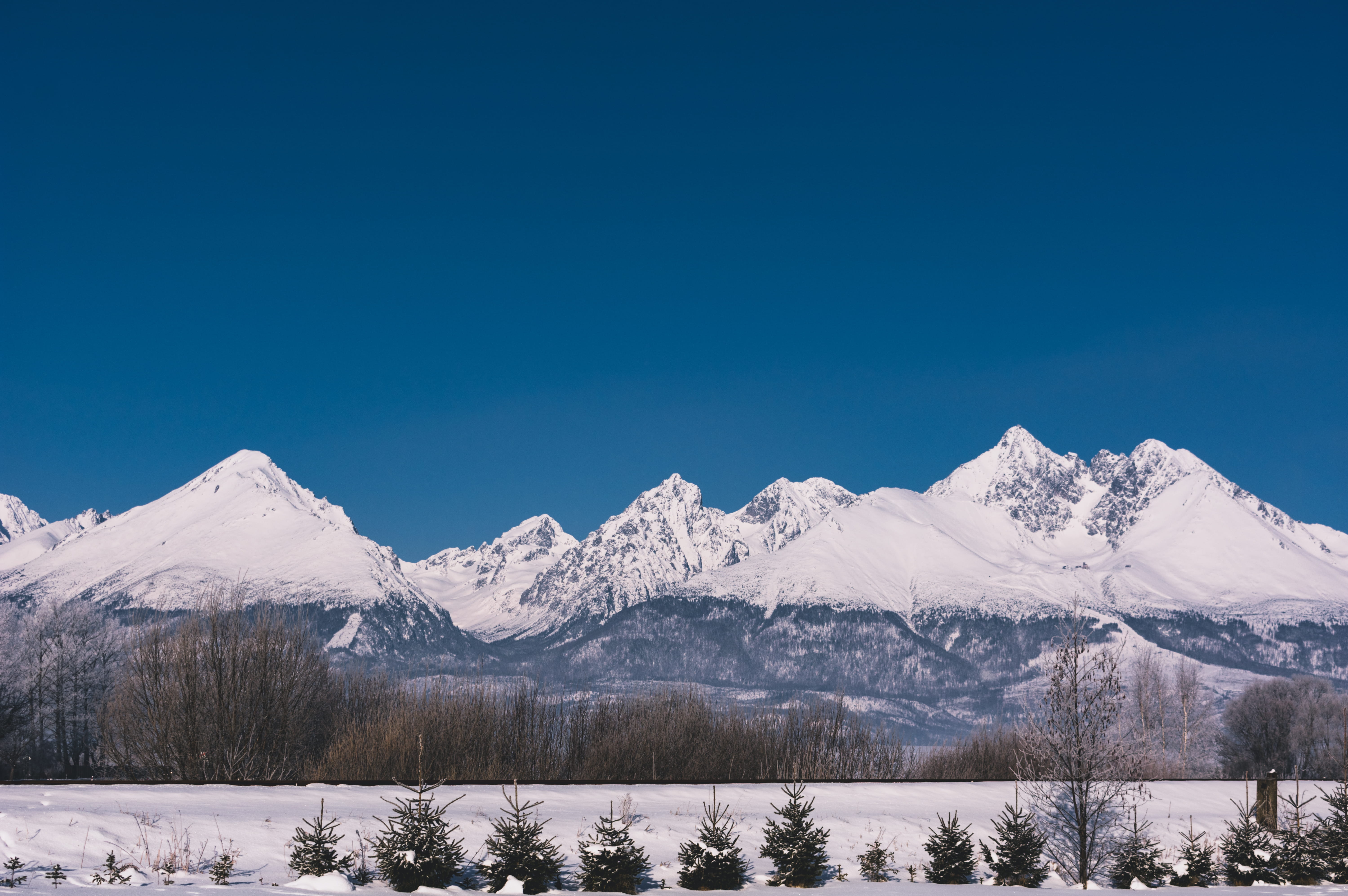 snow, landscape, plant, tranquility, rocks, 5K, formation, scenics - nature, love, winter, clear sky, trees, tatras, beuatiful, tranquil scene, morning, HD Wallpaper
