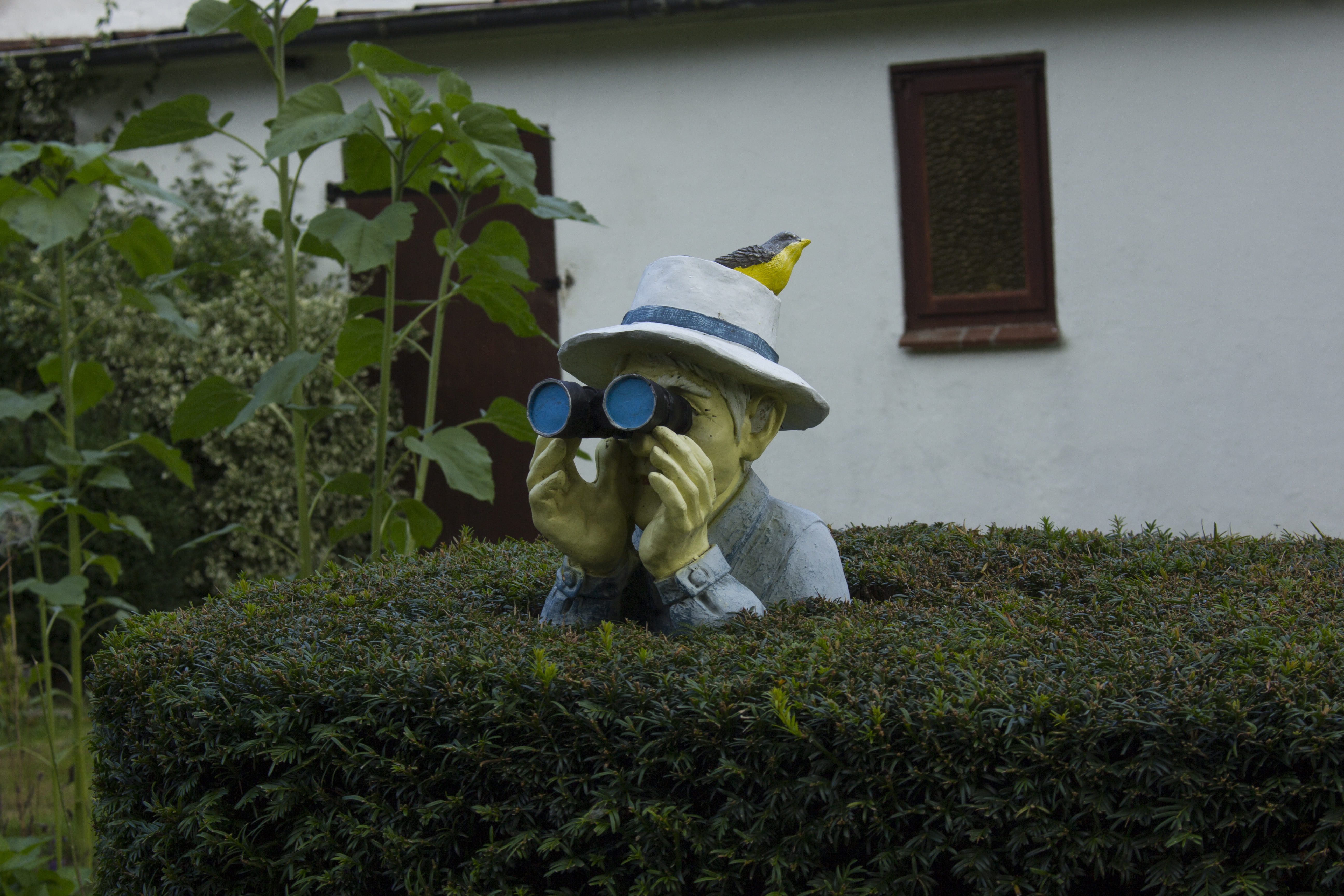 man, toy, art and craft, binoculars, creativity, growth, representation, plant, statue, nature, sculpture, teddy bear, craft, fence, day, stuffed toy, no people, HD Wallpaper