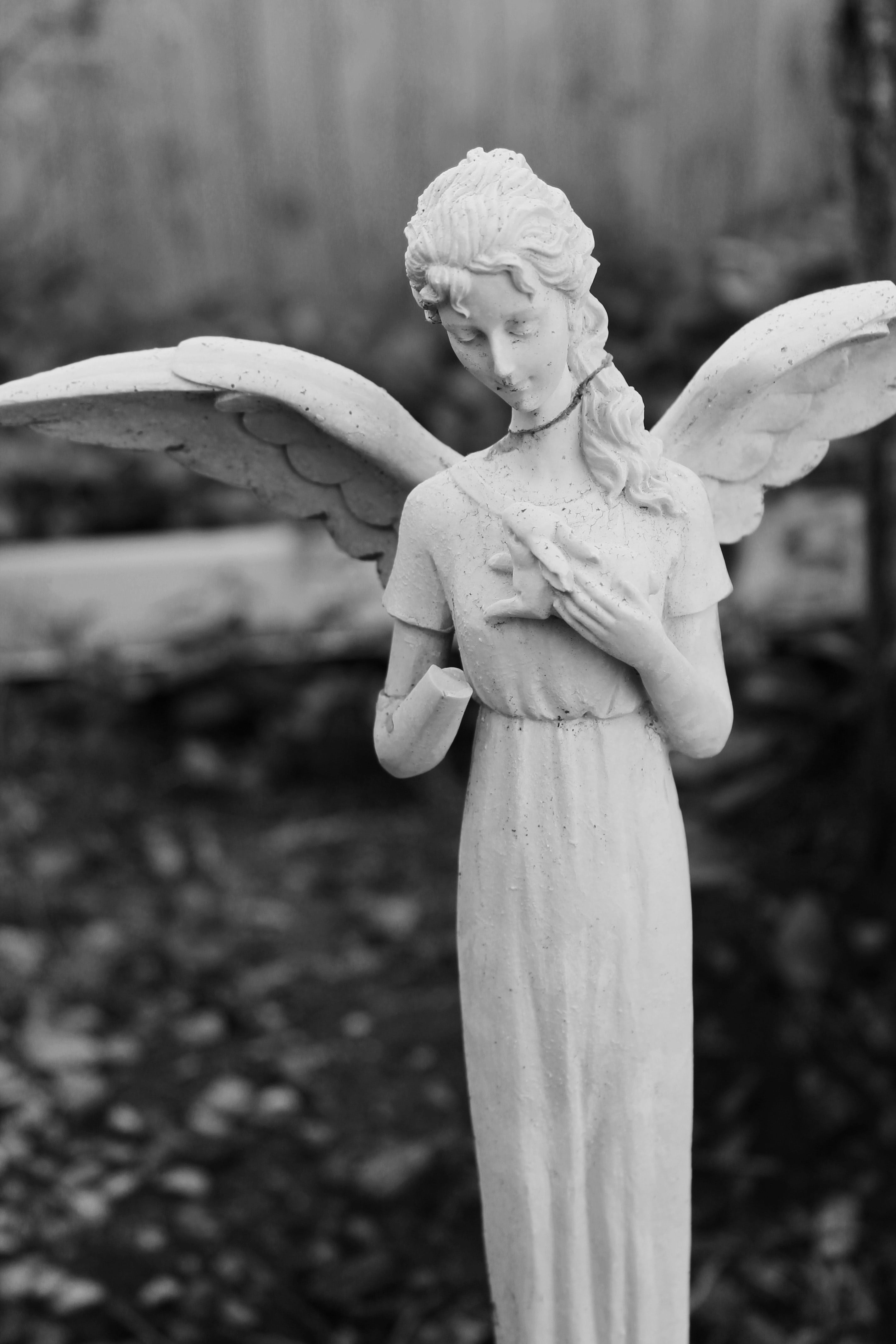 art and craft, spirituality, heavenly, heaven, guardian angel, plant, wings, protection, stone, tree, day, gentle, outdoor, 4K, craft, nature, graveyard, Phone HD Wallpaper