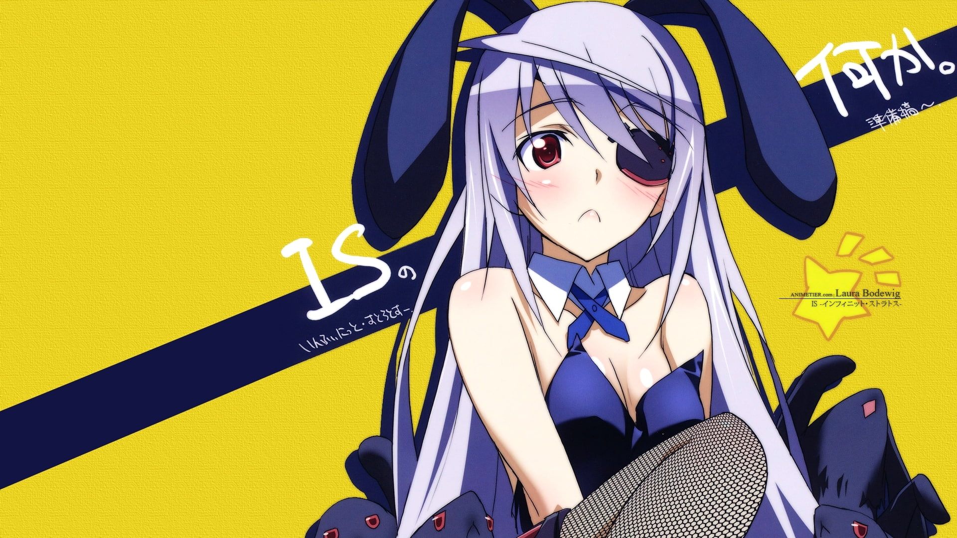 laura, infinite, bodewig, ears, bunnygirl, stratos, bunny, 1080P, HD Wallpaper