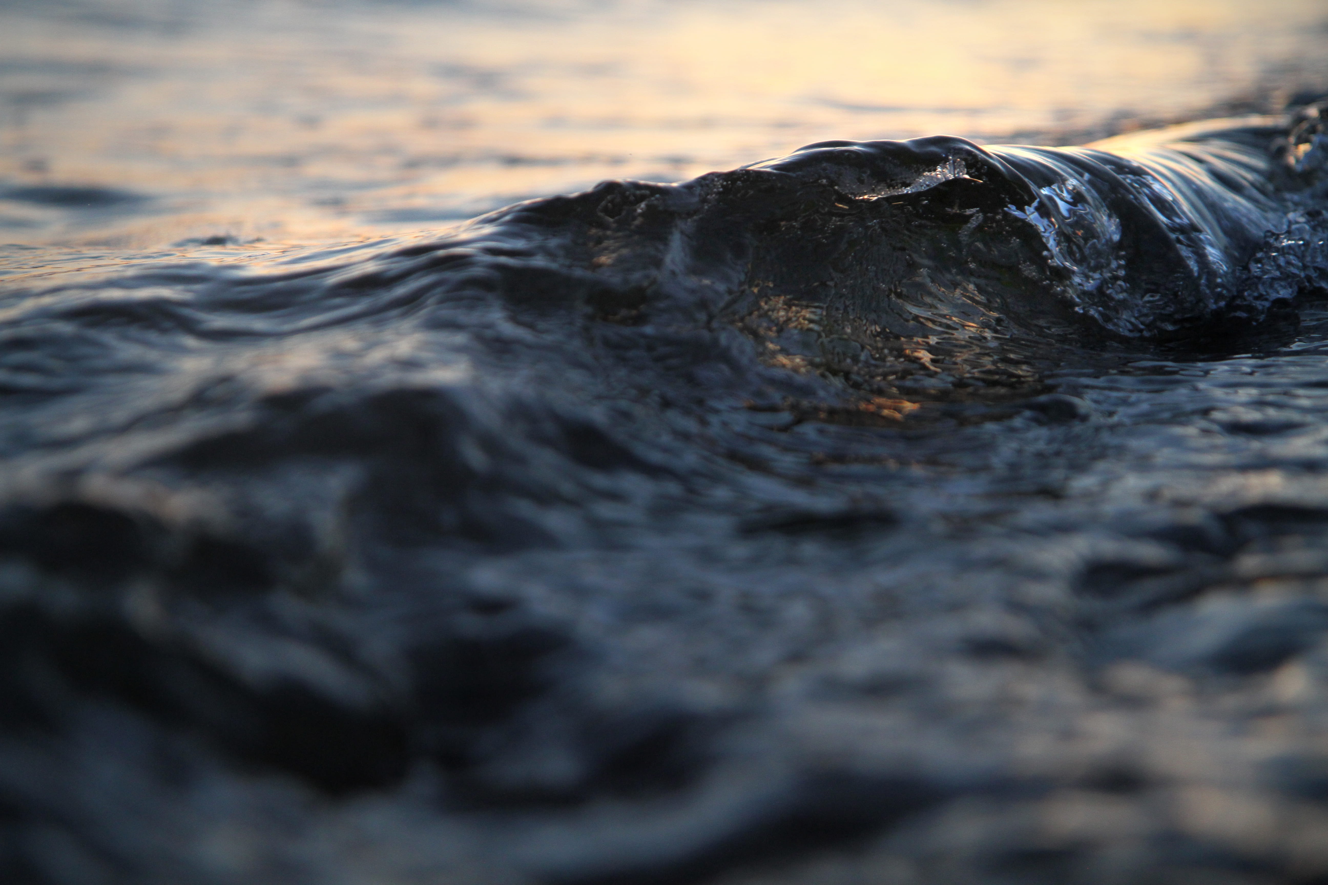 outdoors, golden gardens, seattle, selective focus, golden gardens park, 5K, surface level, flowing water, narrow depth of field, motion, sign, no people, HD Wallpaper