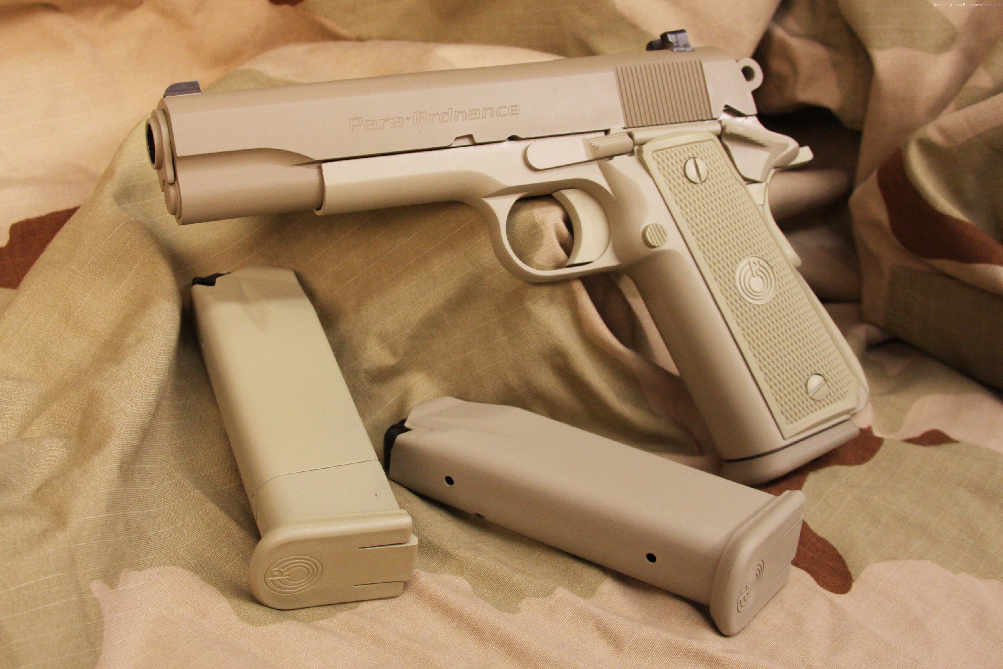 2K, para ordnance p14 45, gun, HD Wallpaper