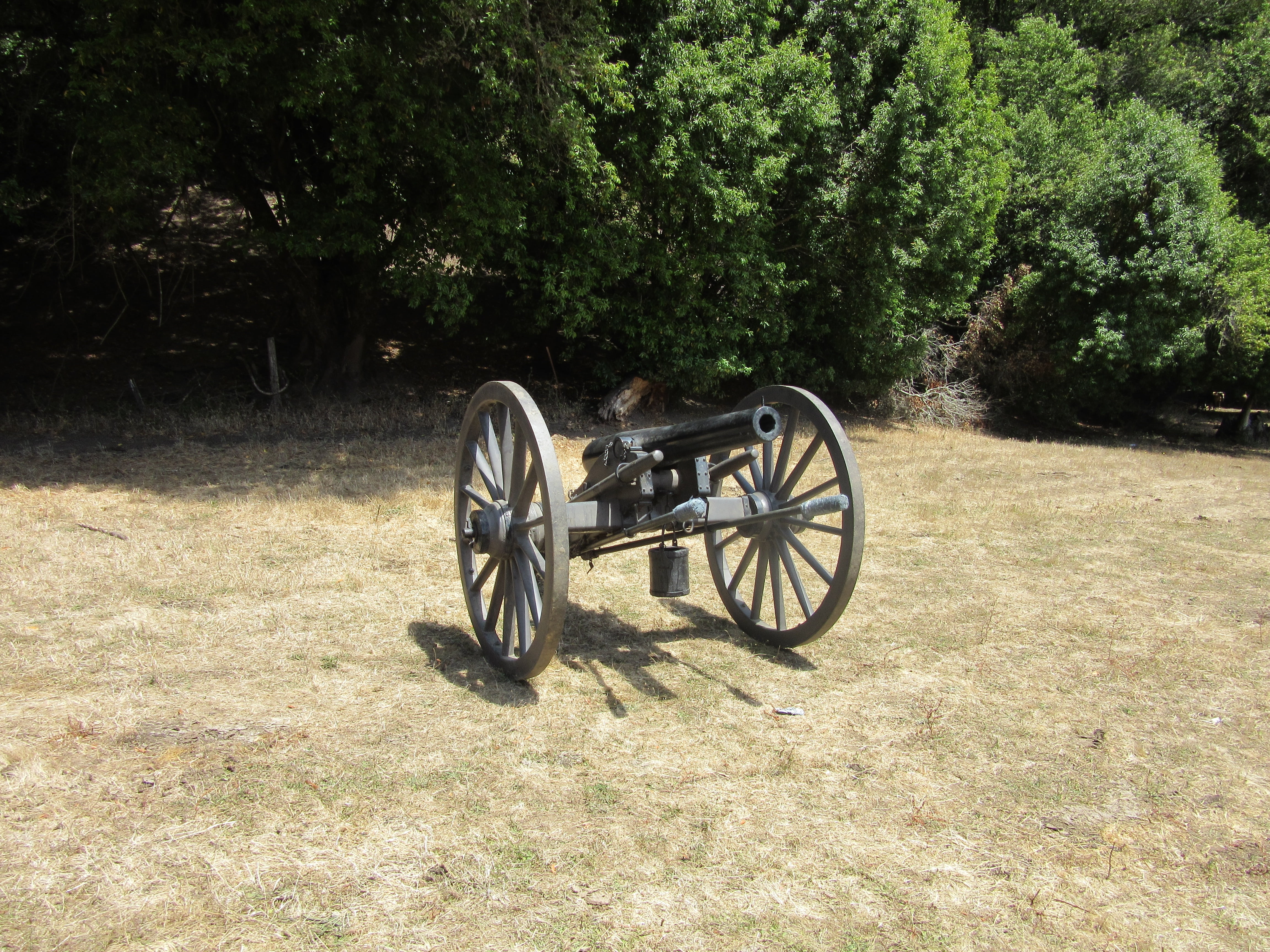 cannon, wheel, ordnance, outdoors, horse, mode of transportation, beauty in nature, field, growth, tree, green color, military, transportation, no people, HD Wallpaper