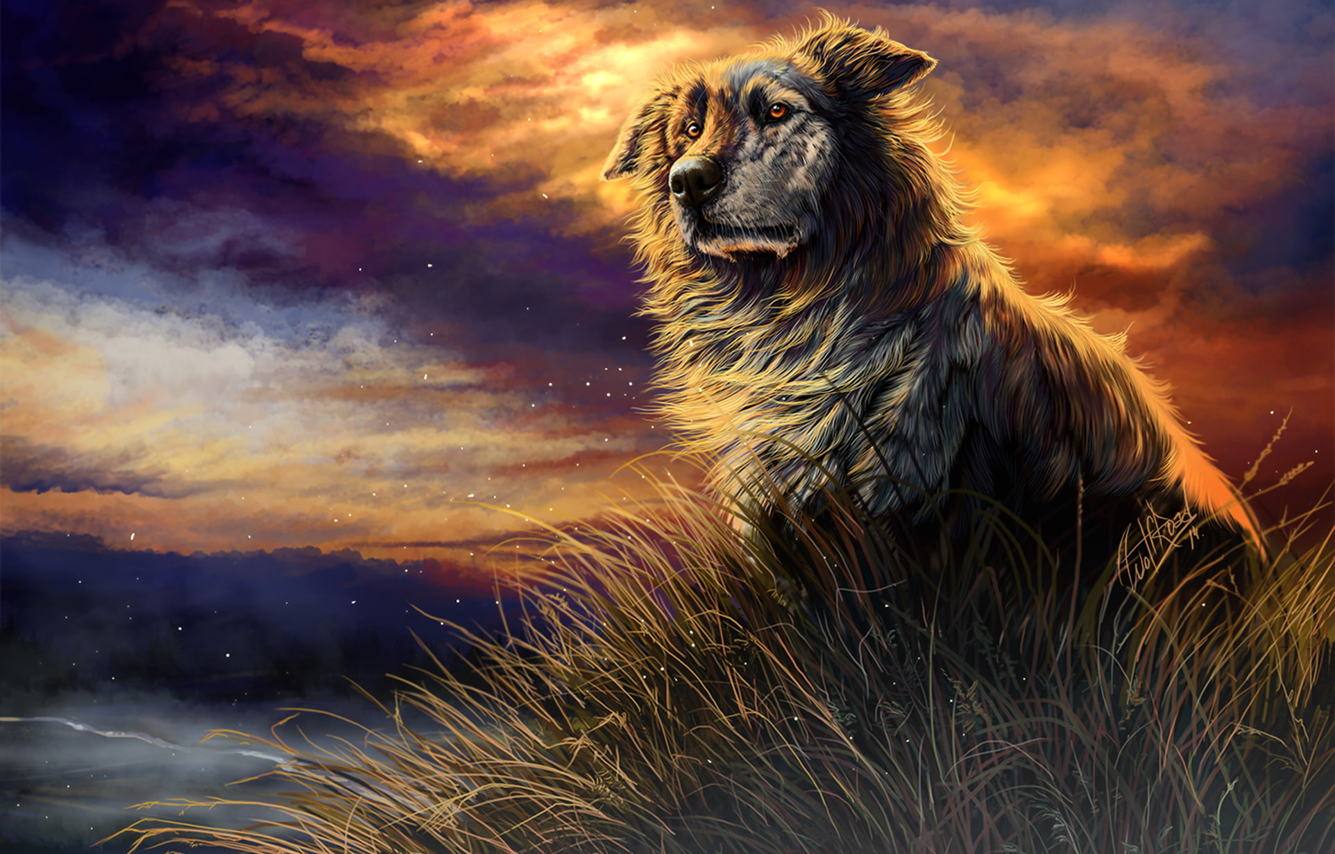 1080P, WolfRoad, clouds, grass, sunset, dog, HD Wallpaper