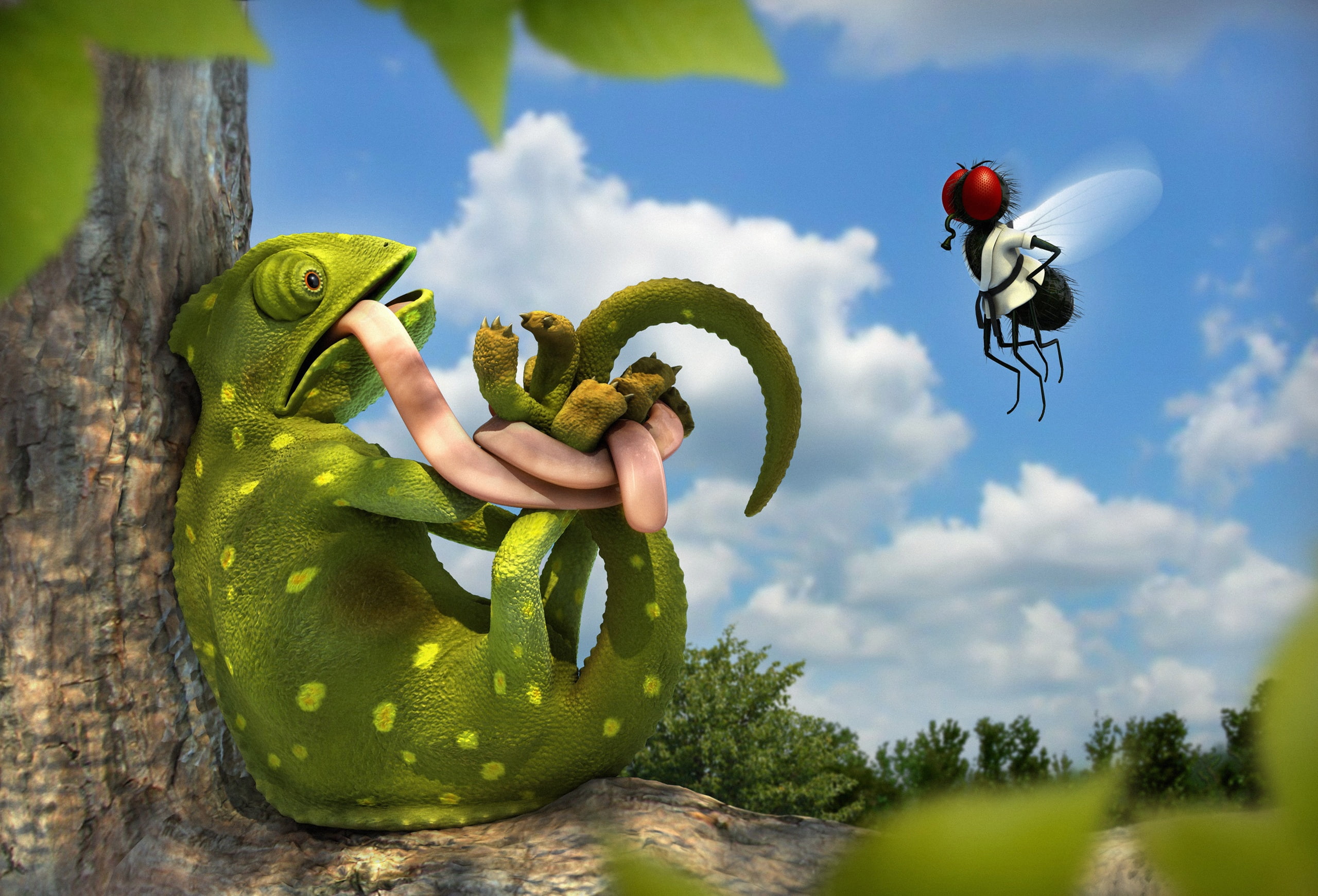 humor, judo, defiende, abstracto, mosca, 2K, camaleon, HD Wallpaper
