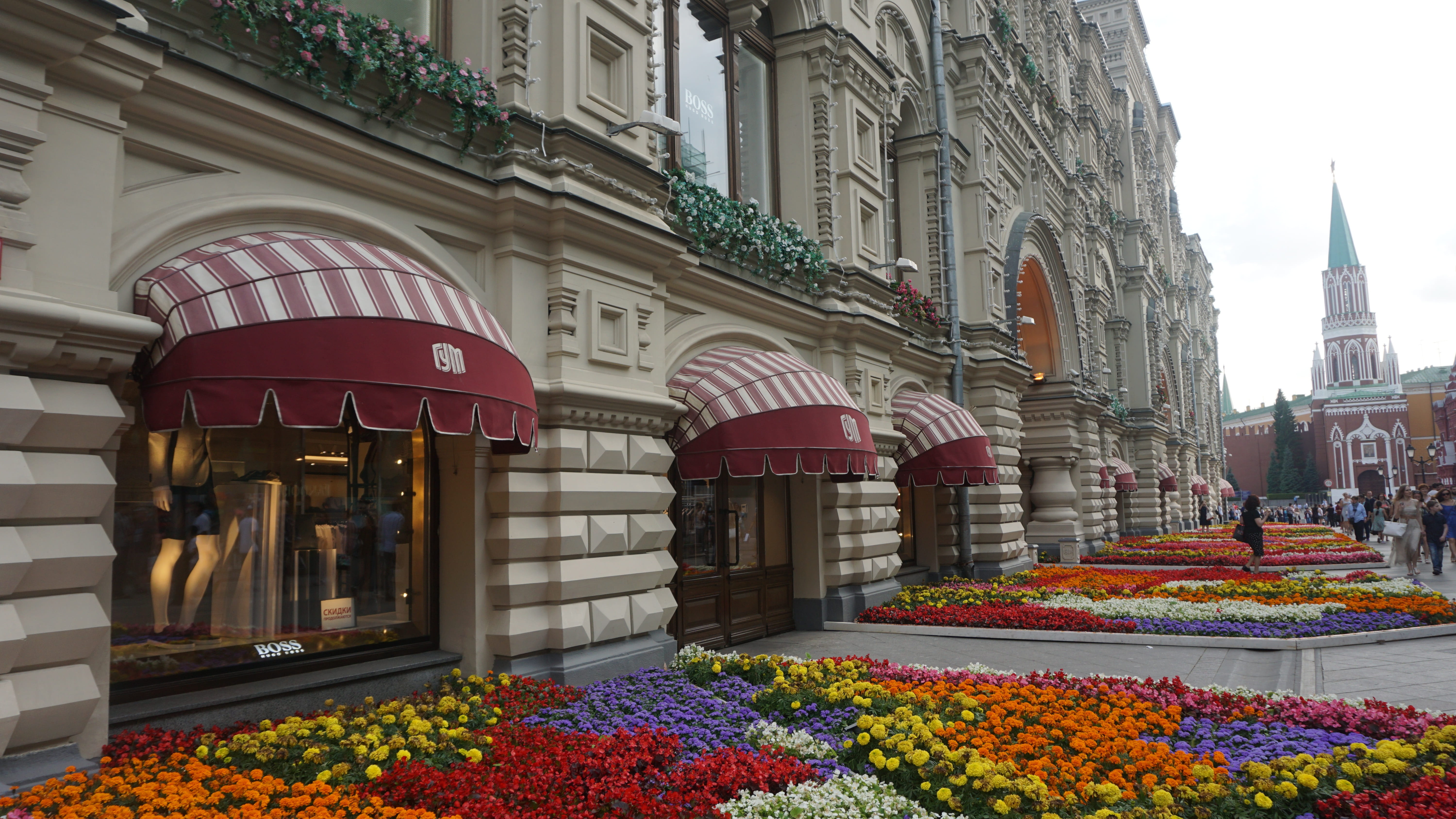 color, washington, decoration, the past, leaf, bloom, mall, freshness, plant, day, lifestyle, history, green, flowerbed, built structure, blossom, building, HD Wallpaper
