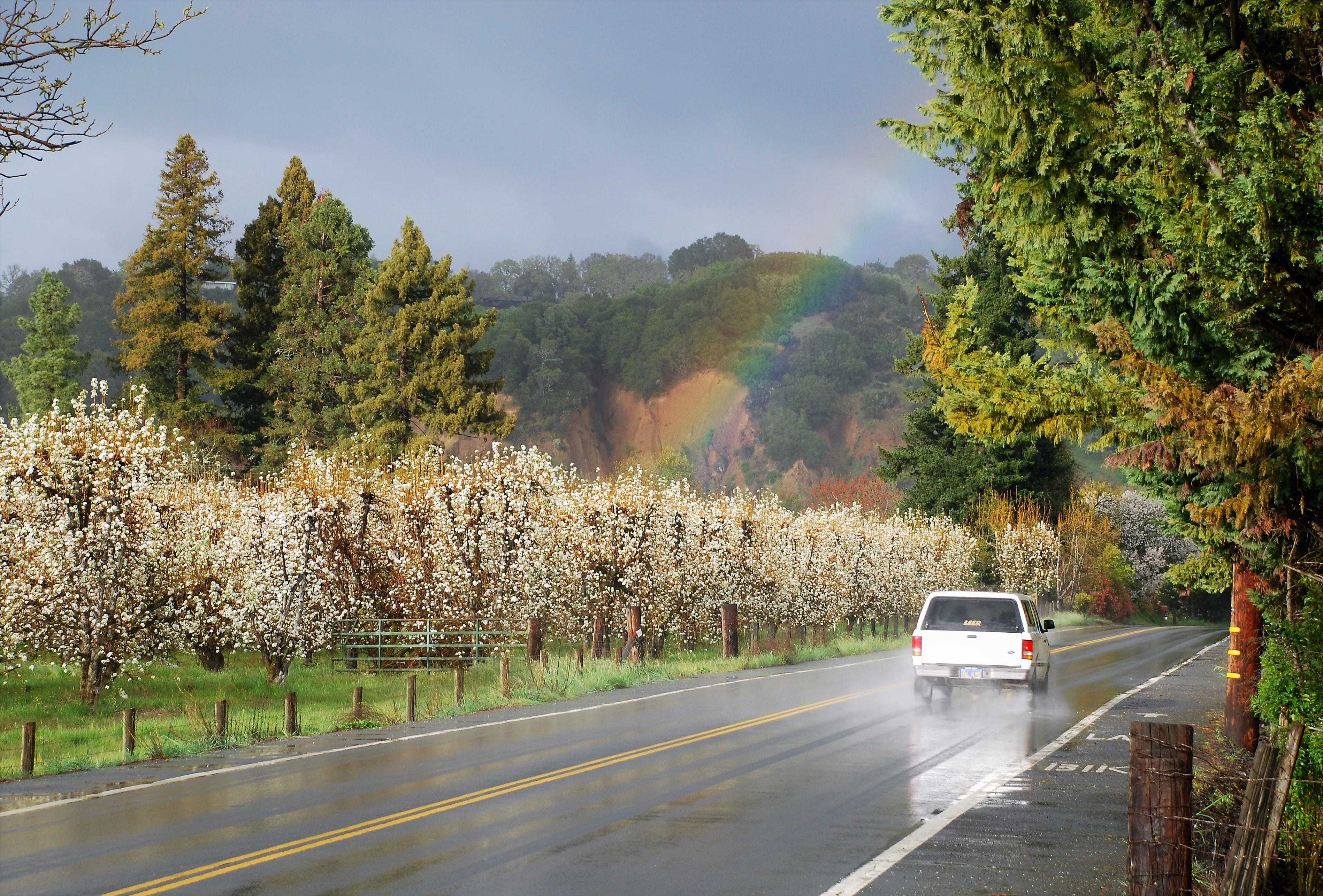 blossoms, on the move, no people, transportation, land vehicle, outdoors, road marking, motor vehicle, scenics - nature, nature, rainbow, 2K, vichy springs, HD Wallpaper