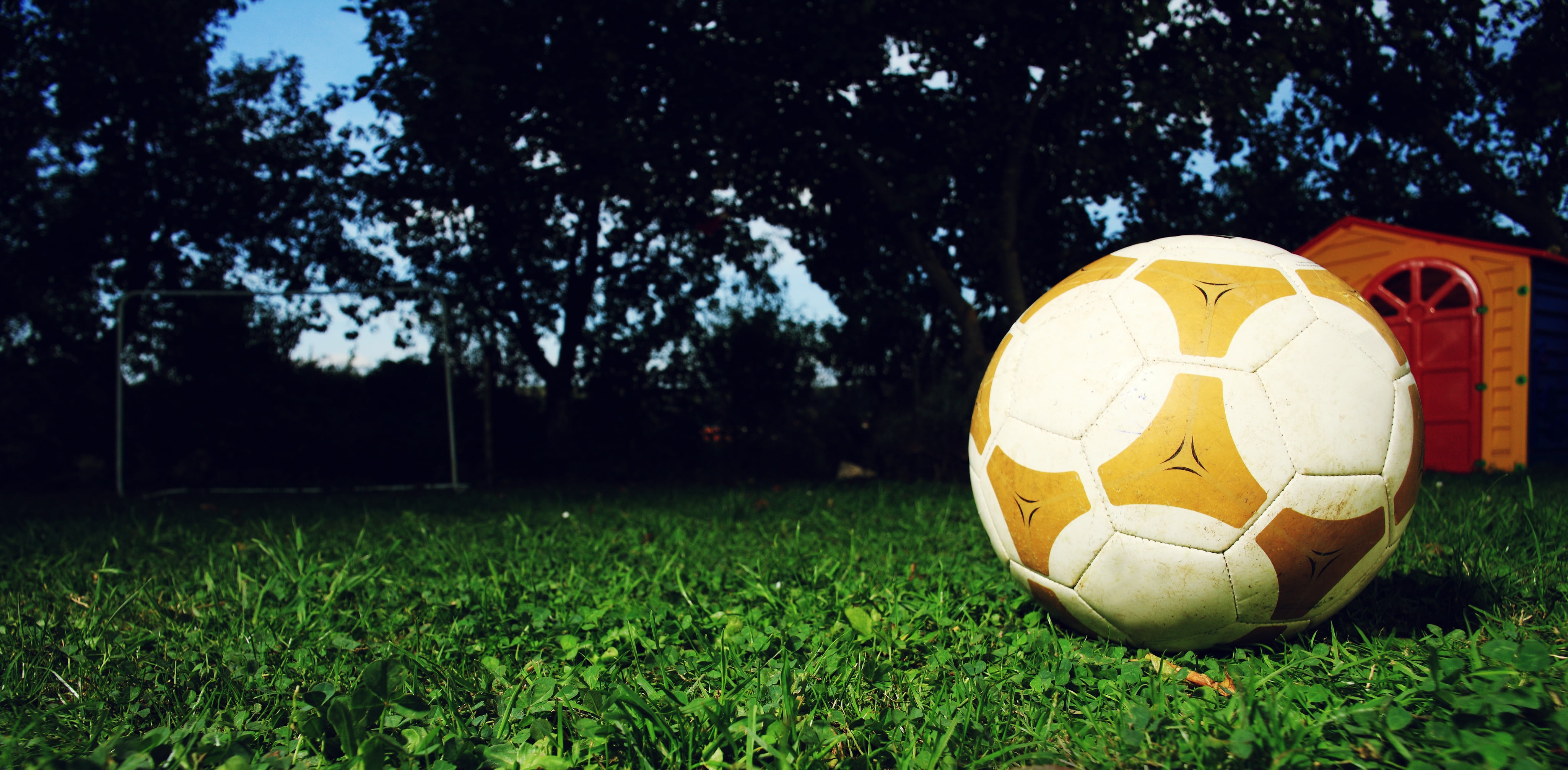 soccer, green color, white, yellow, soccer ball, activity, plant, night, nature, leather, sphere, soccer field, team sport, 4K, ball sports, sport, adidas, HD Wallpaper