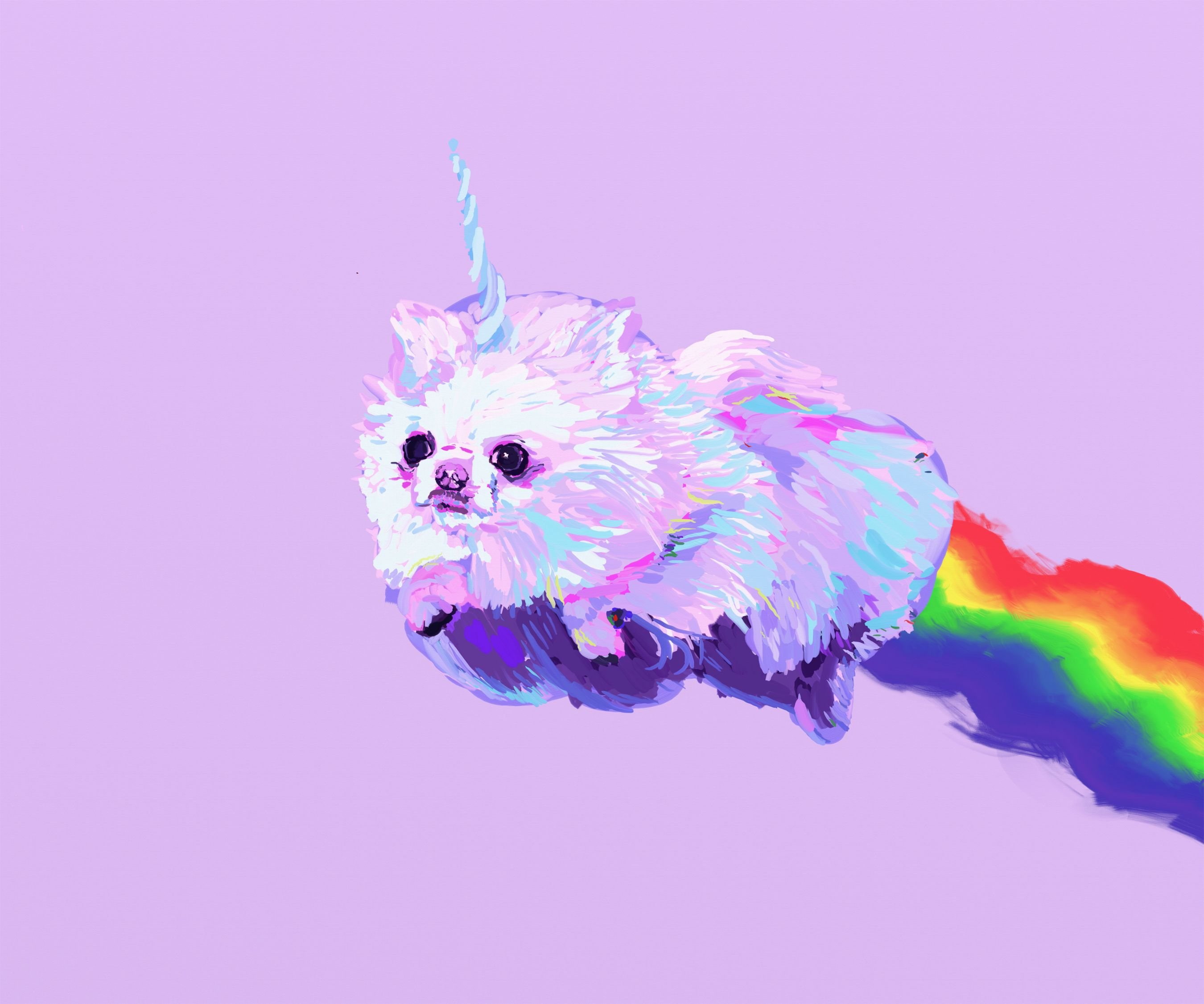 2K, fantasy, dog, dogs, pomeranian, unicorn, HD Wallpaper