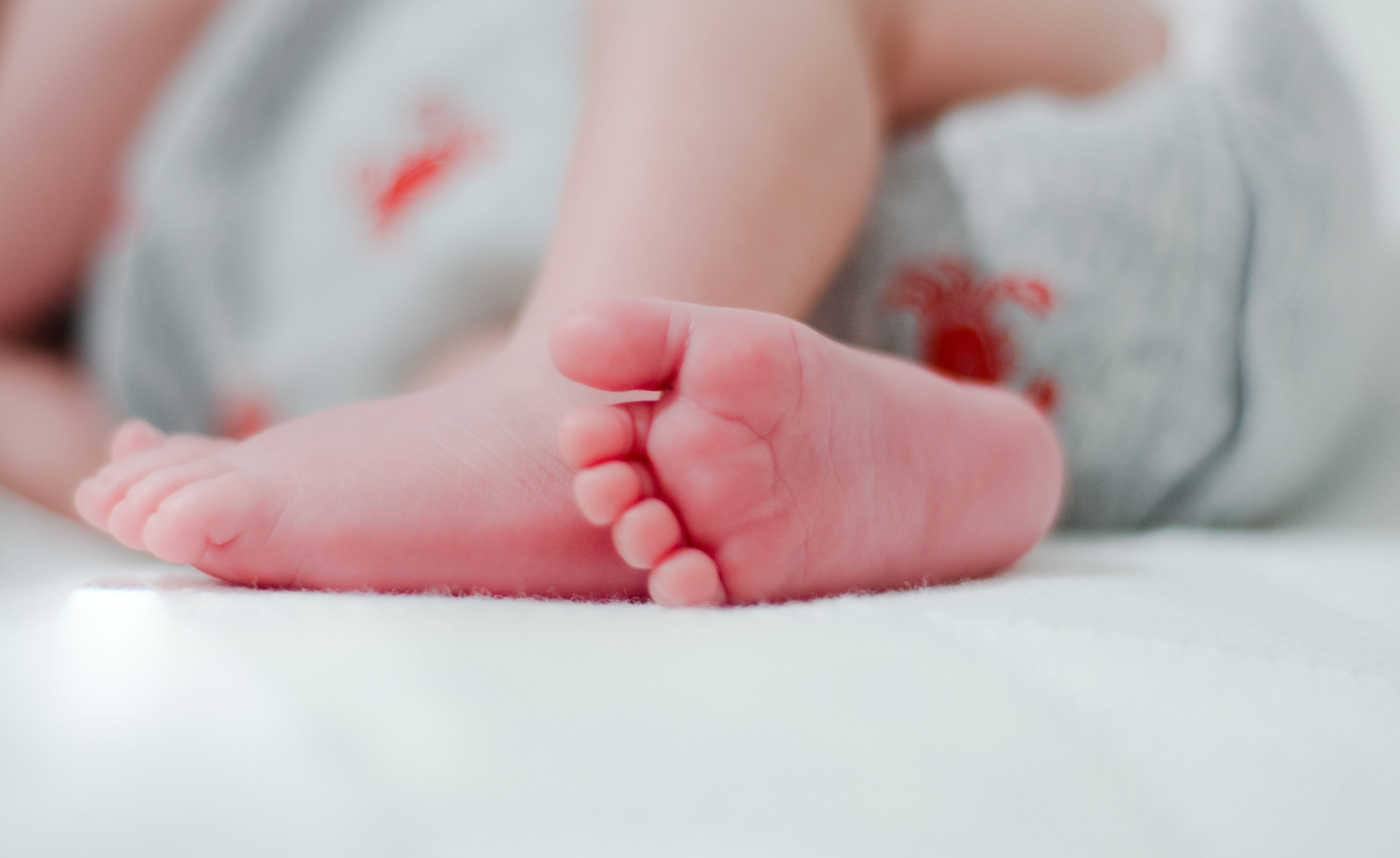 wool, child, babyhood, body part, pé, childhood, bebe, ankle, human foot, snowflake, wearing, indoors, innocence, baby, veins, care, plant, low section, HD Wallpaper