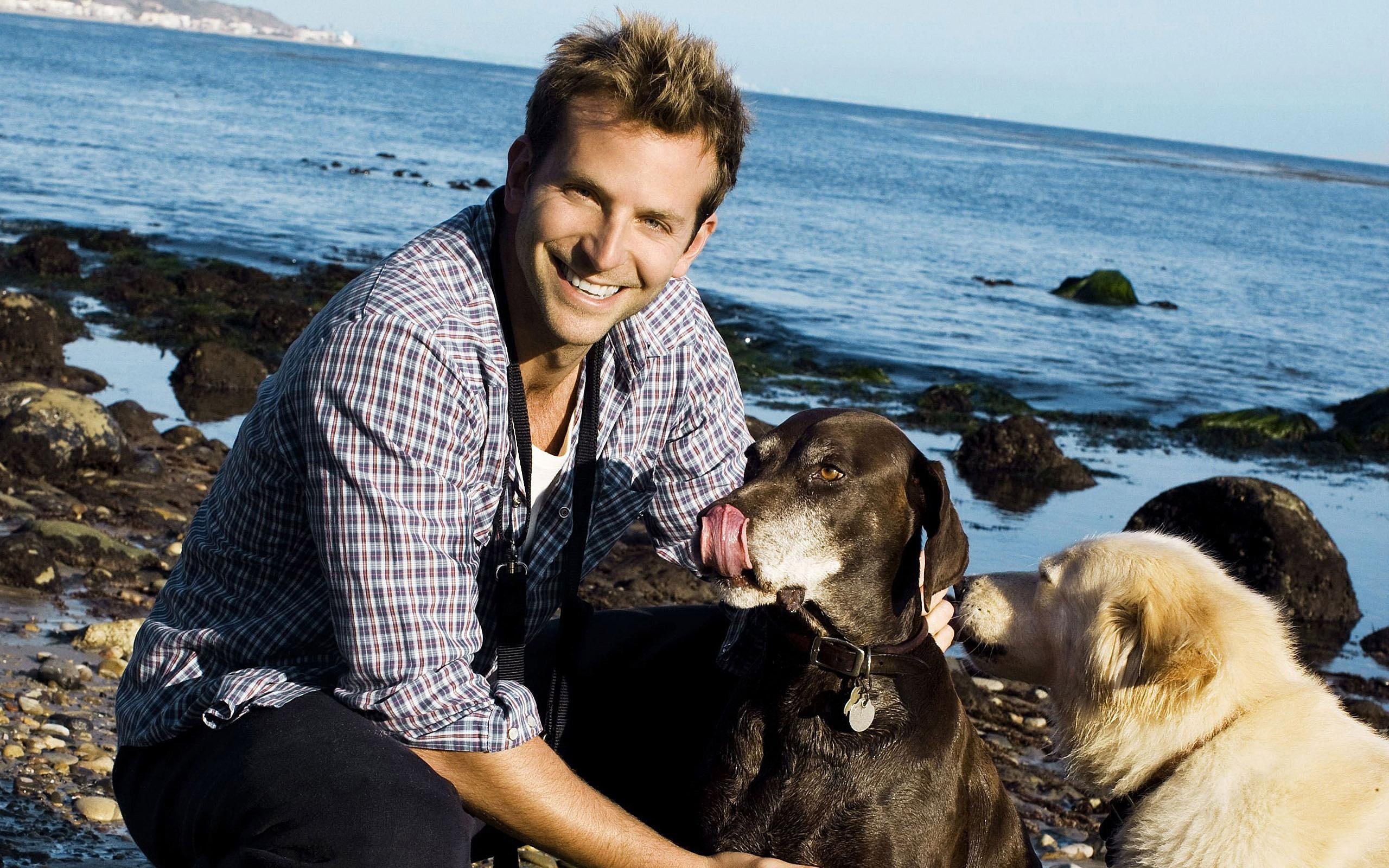 charles, sky, bradley, actor, charles bradley cooper, beach, dogs, bradley cooper, cooper, sea, 2K, HD Wallpaper