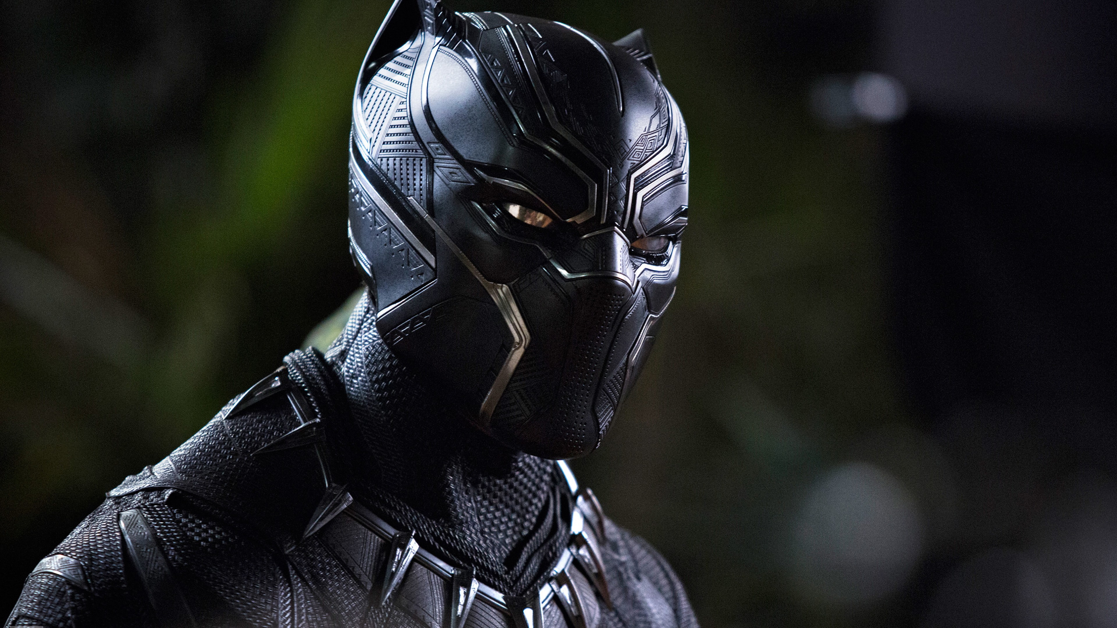 4K, 4k, Black Panther, Chadwick Boseman, HD Wallpaper