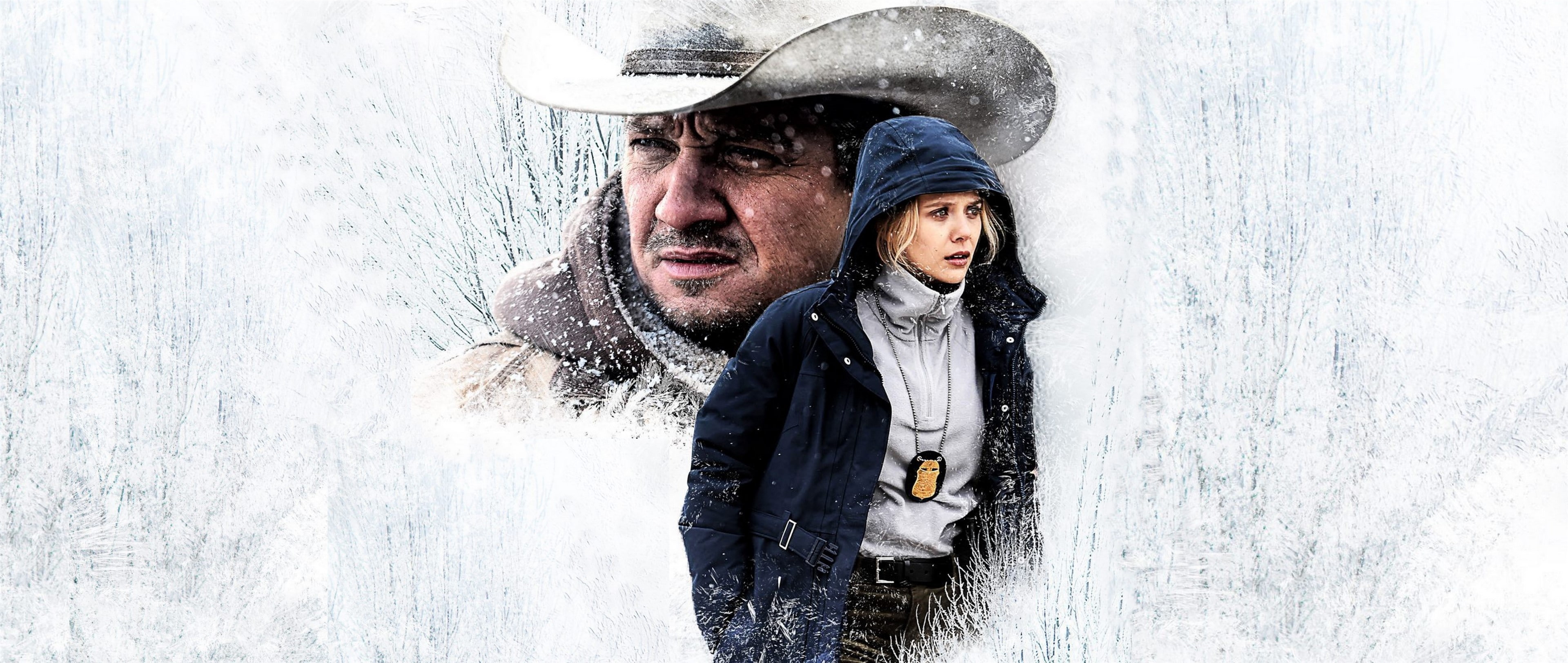 4K, Elizabeth Olsen, 2017, Wind River, 4K, Jeremy Renner, HD Wallpaper