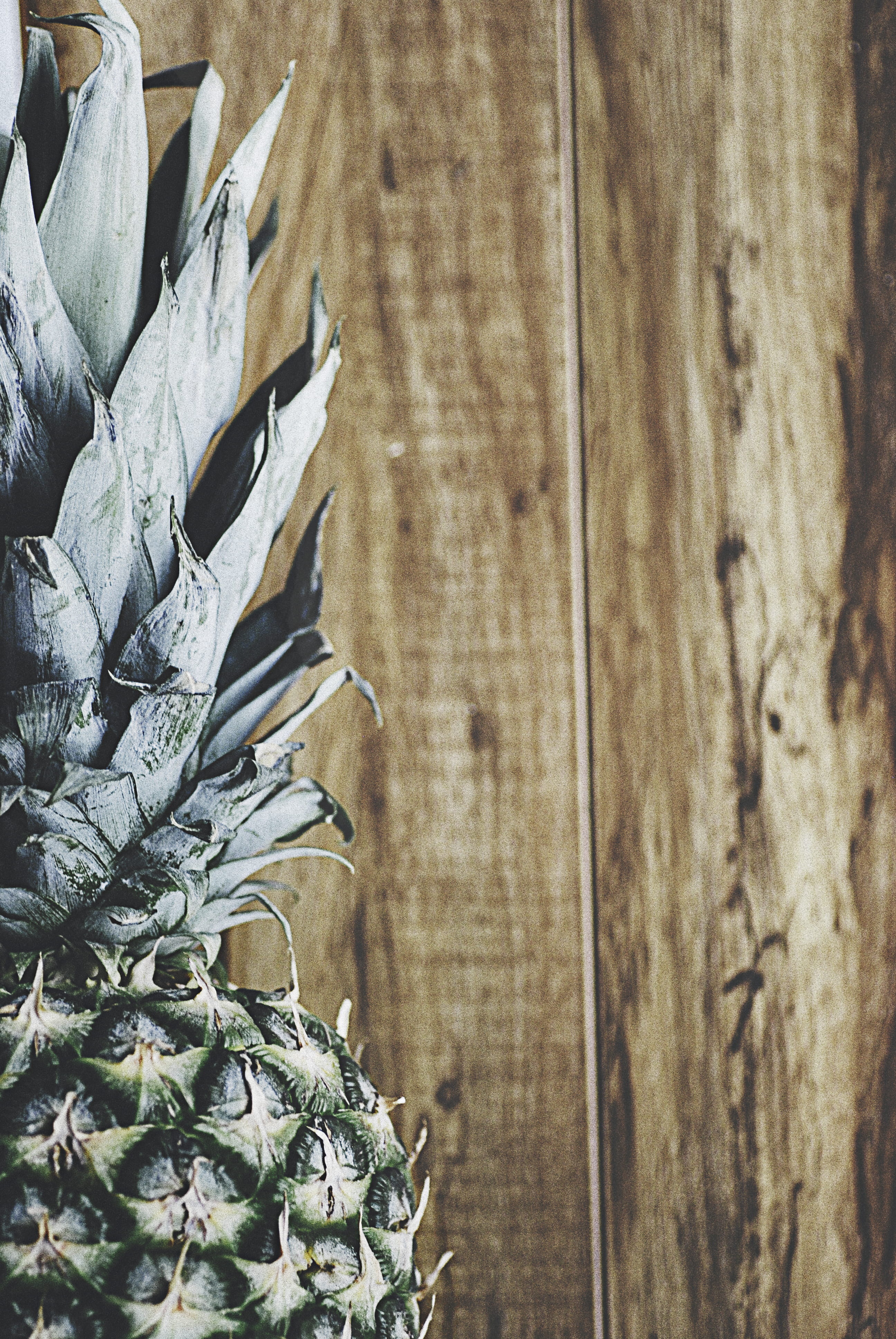 day, food, focus on foreground, beauty in nature, shallow, leaves, fruit, healthy Eating, sweet Food, close up, summer, green, closeup, no People, wall - building feature, Phone HD Wallpaper
